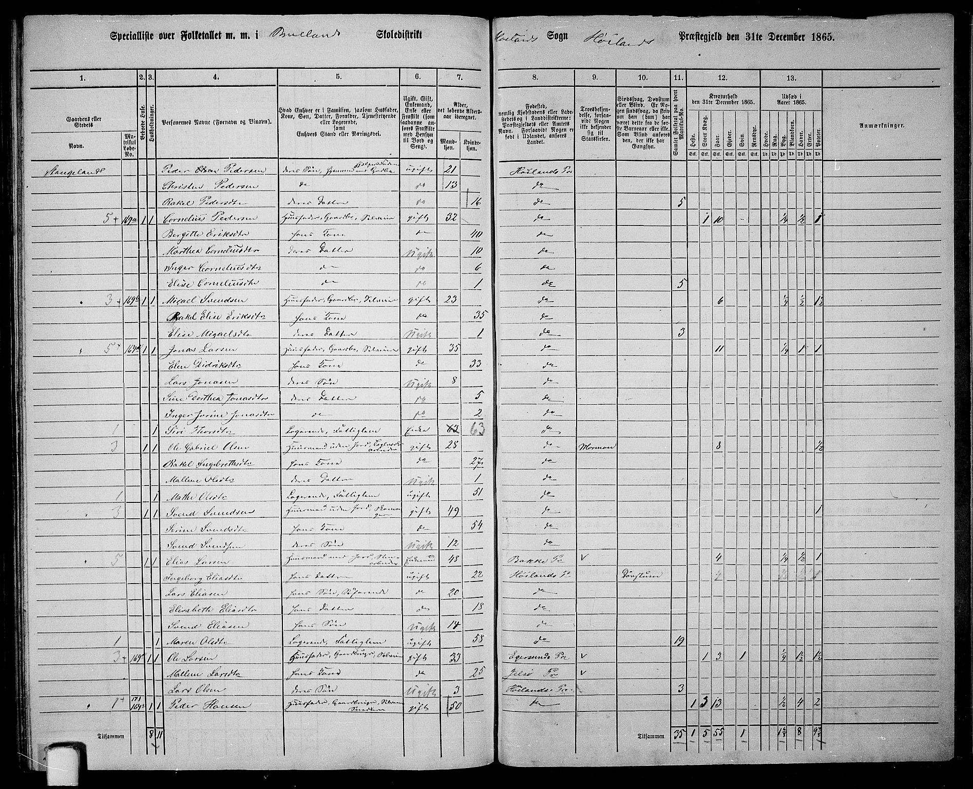 RA, 1865 census for Høyland, 1865, p. 138