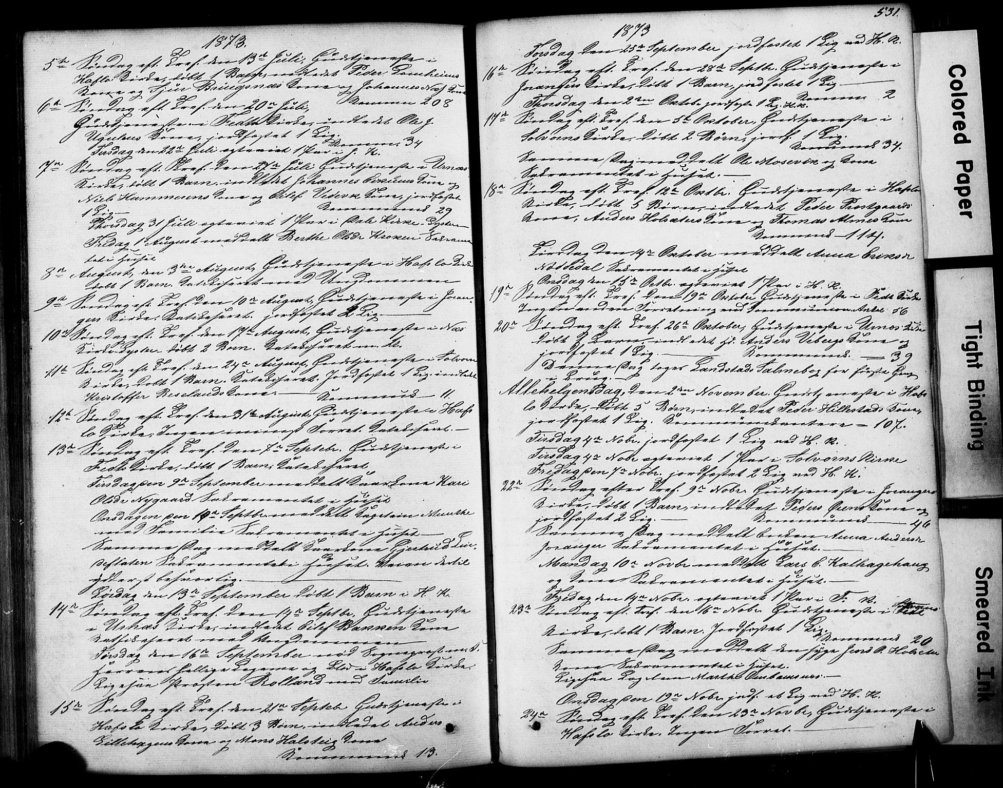 Hafslo sokneprestembete, AV/SAB-A-80301/H/Hab/Haba/L0001: Parish register (copy) no. A 1, 1866-1908, p. 531