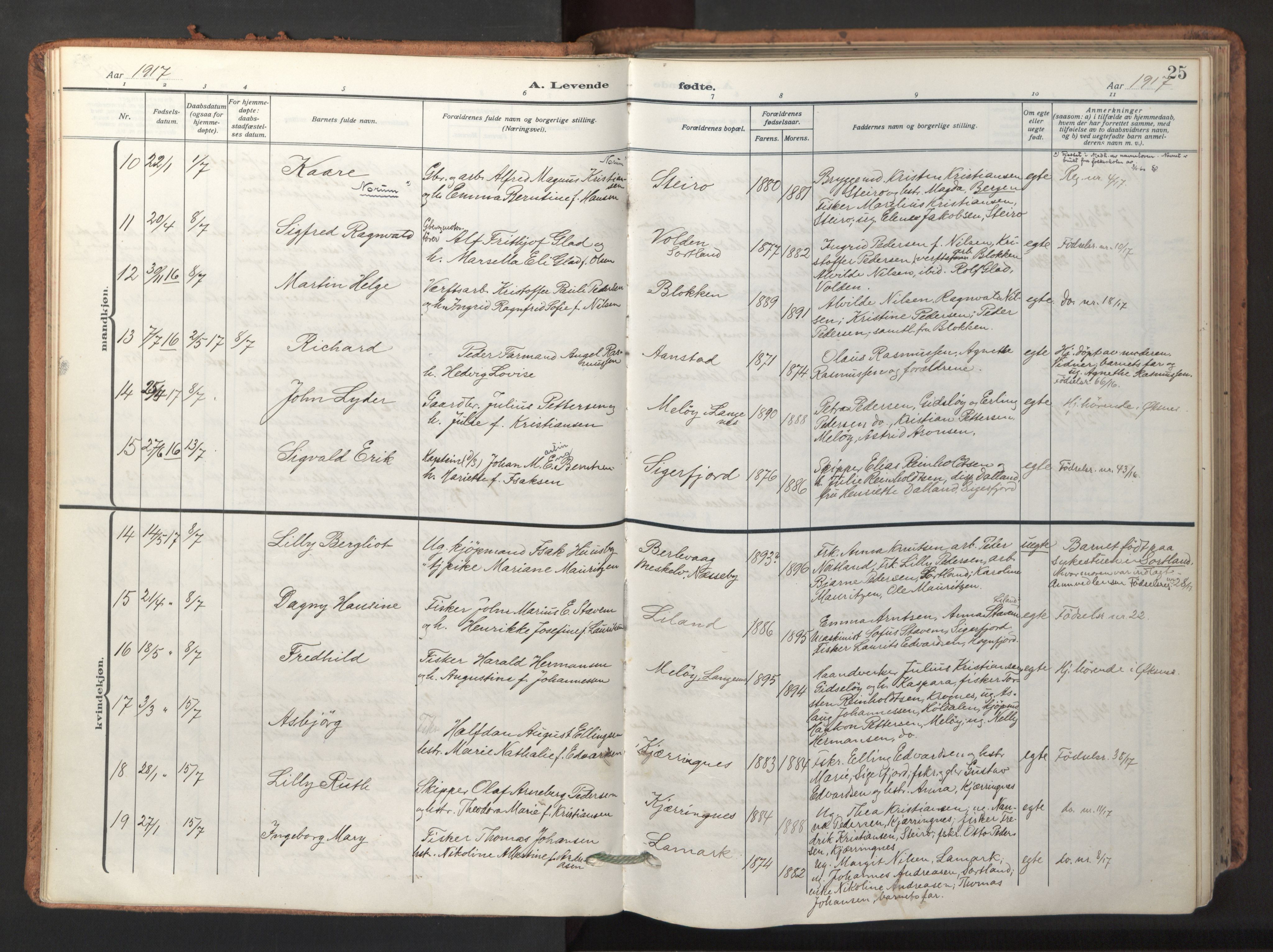 Ministerialprotokoller, klokkerbøker og fødselsregistre - Nordland, AV/SAT-A-1459/895/L1374: Parish register (official) no. 895A09, 1915-1925, p. 25