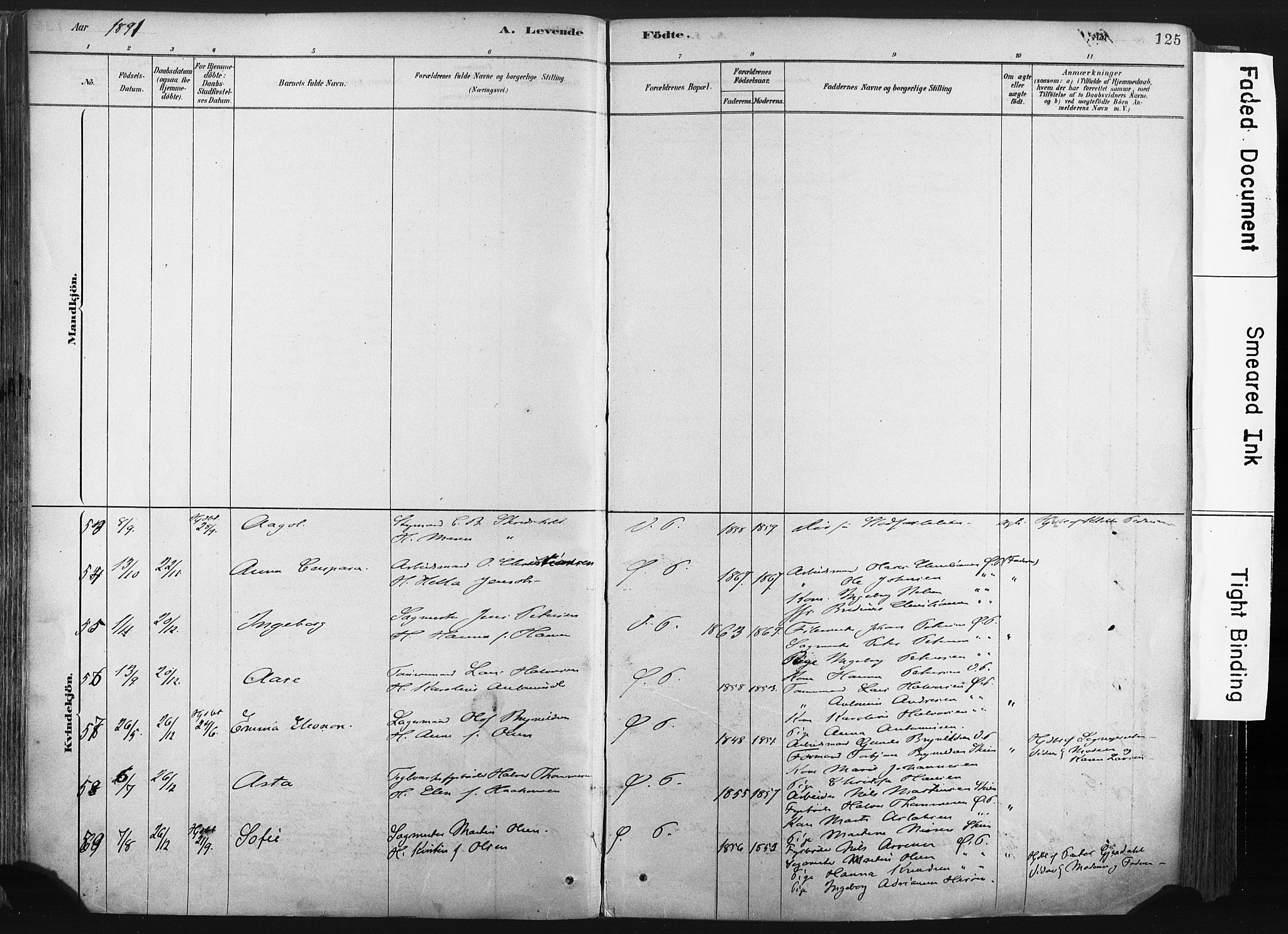 Porsgrunn kirkebøker , SAKO/A-104/F/Fa/L0008: Parish register (official) no. 8, 1878-1895, p. 125