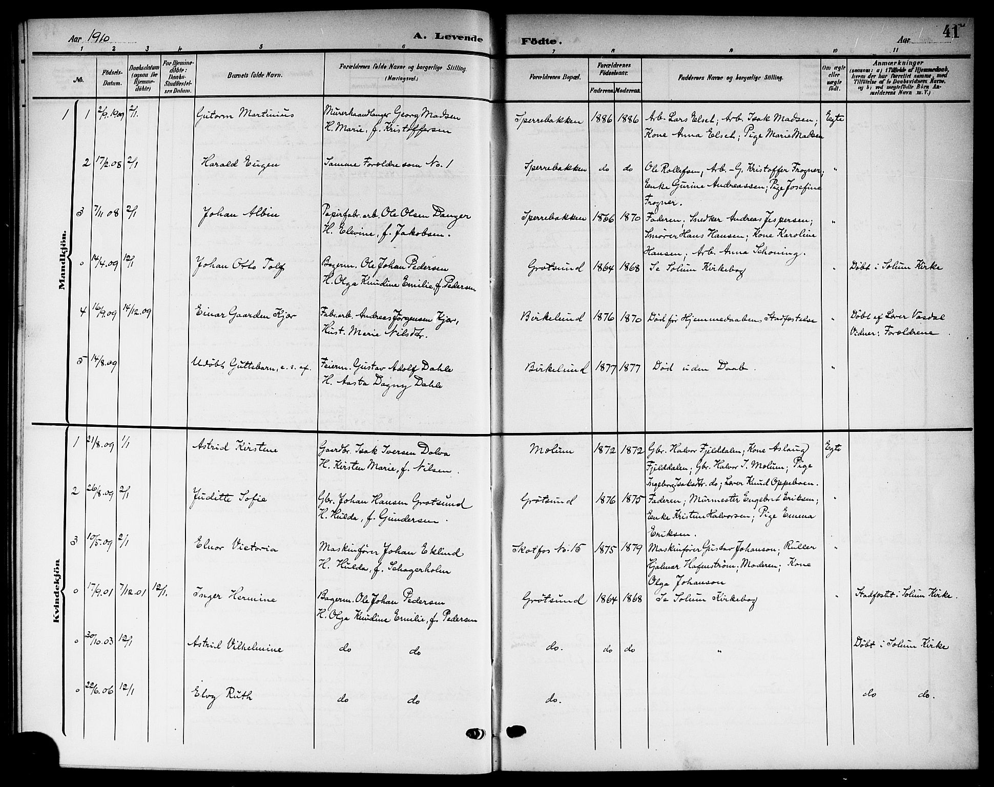 Solum kirkebøker, SAKO/A-306/G/Gb/L0005: Parish register (copy) no. II 5, 1905-1914, p. 41