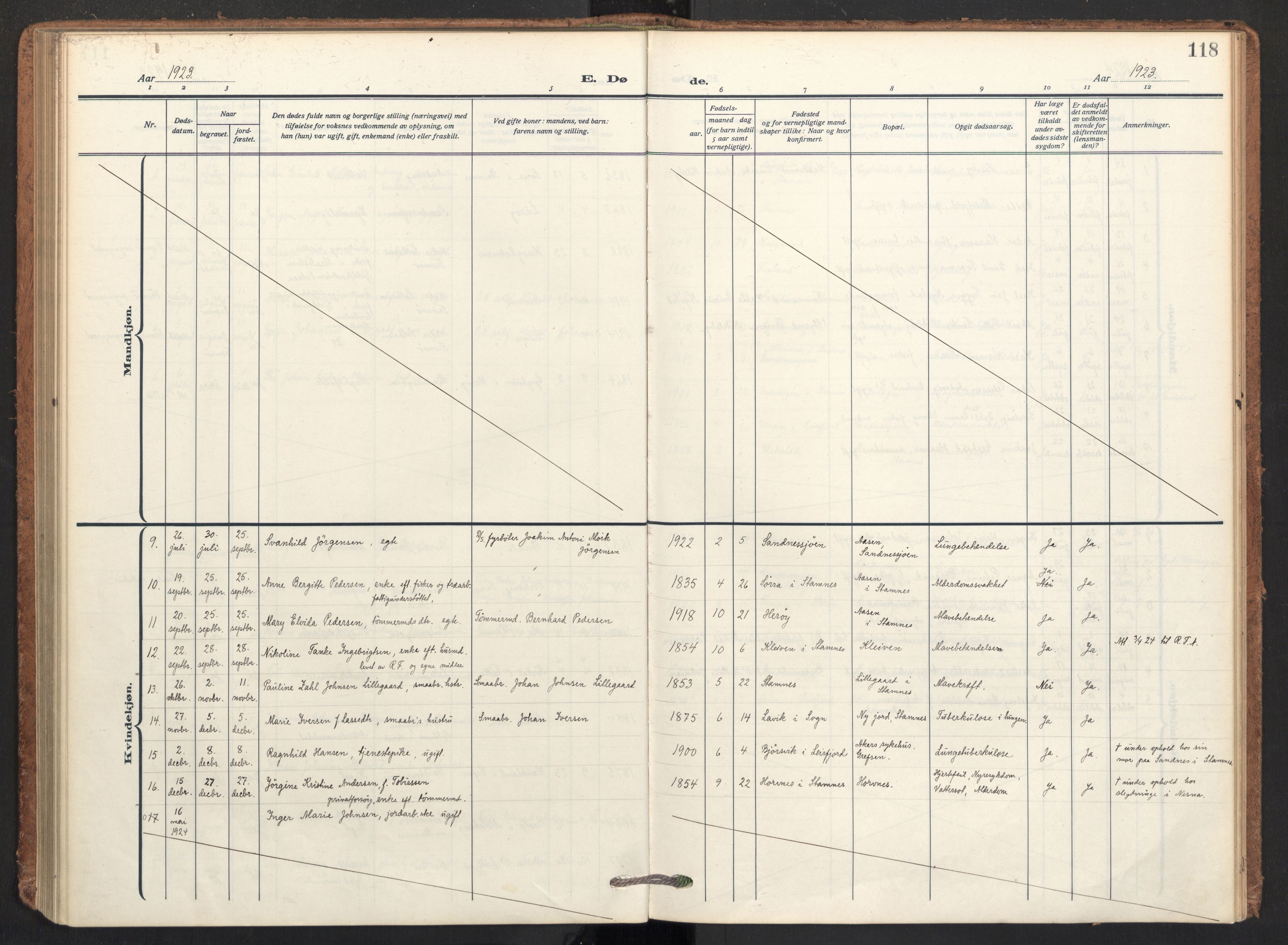 Ministerialprotokoller, klokkerbøker og fødselsregistre - Nordland, AV/SAT-A-1459/831/L0473: Parish register (official) no. 831A04, 1909-1934, p. 118