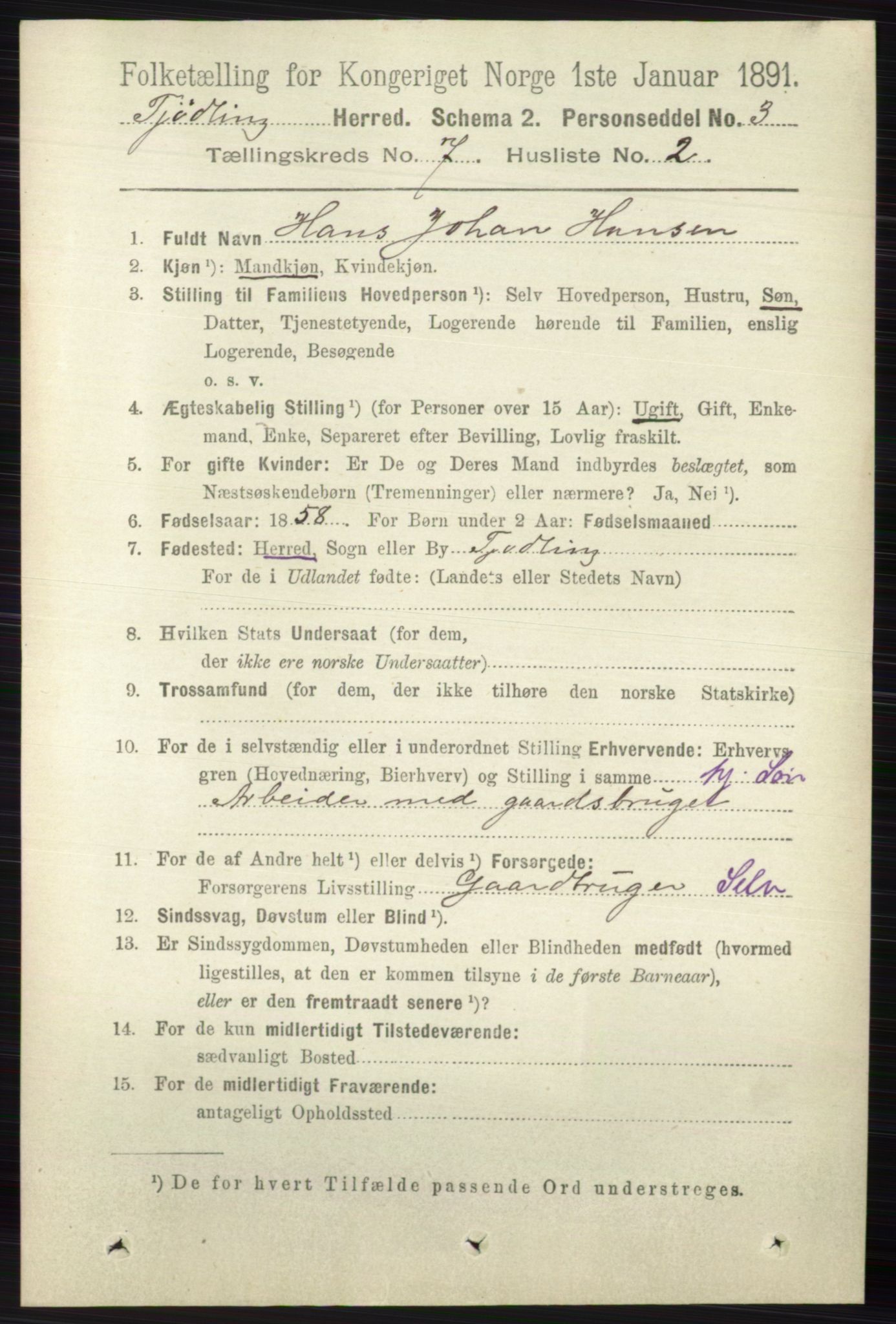 RA, 1891 census for 0725 Tjølling, 1891, p. 3676