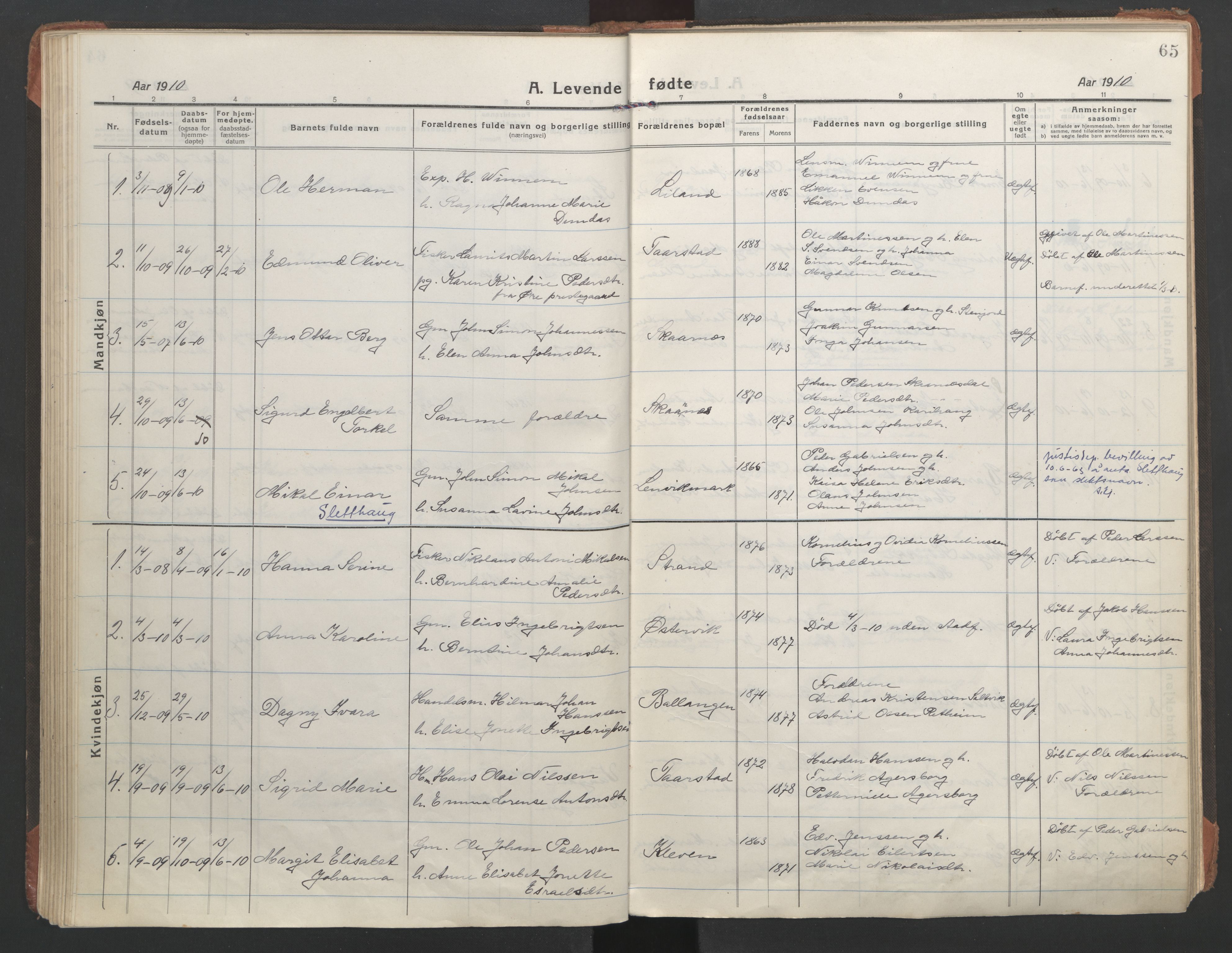 Ministerialprotokoller, klokkerbøker og fødselsregistre - Nordland, AV/SAT-A-1459/863/L0900: Parish register (official) no. 863A12, 1906-1915, p. 65