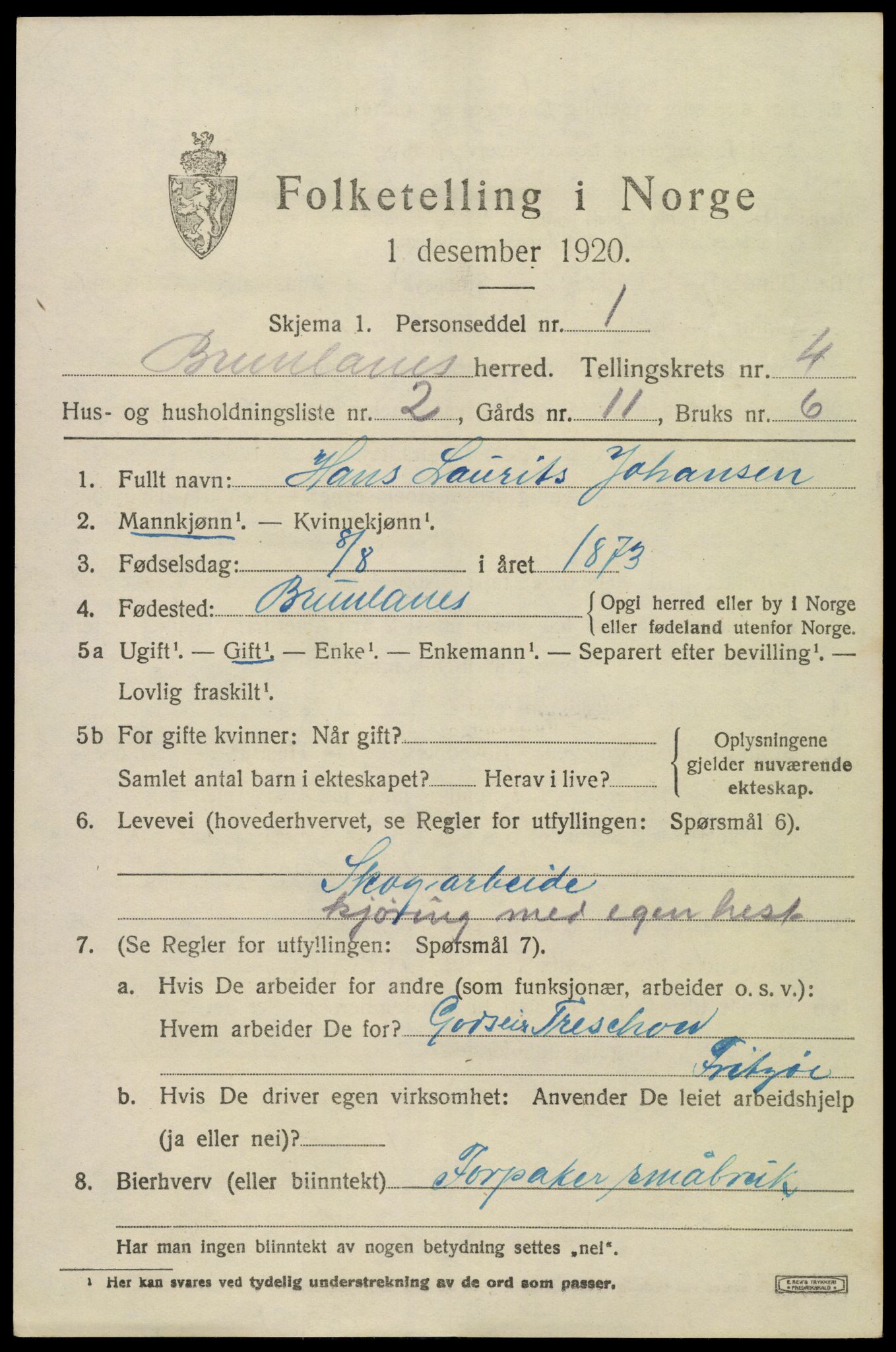SAKO, 1920 census for Brunlanes, 1920, p. 6125
