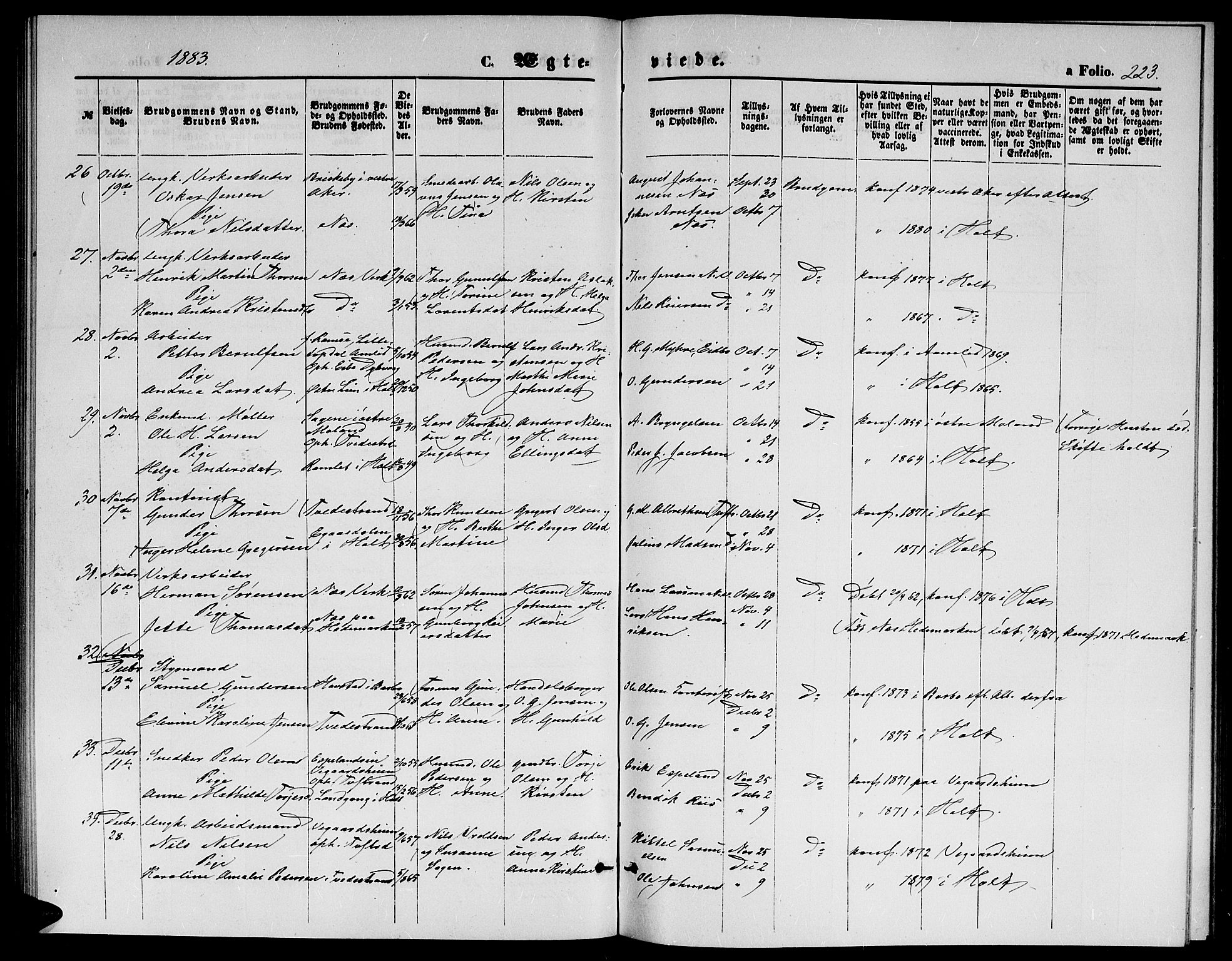 Holt sokneprestkontor, AV/SAK-1111-0021/F/Fb/L0009: Parish register (copy) no. B 9, 1871-1883, p. 223