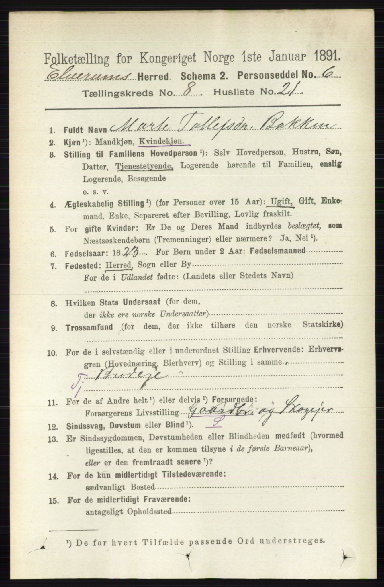 RA, 1891 census for 0427 Elverum, 1891, p. 7165