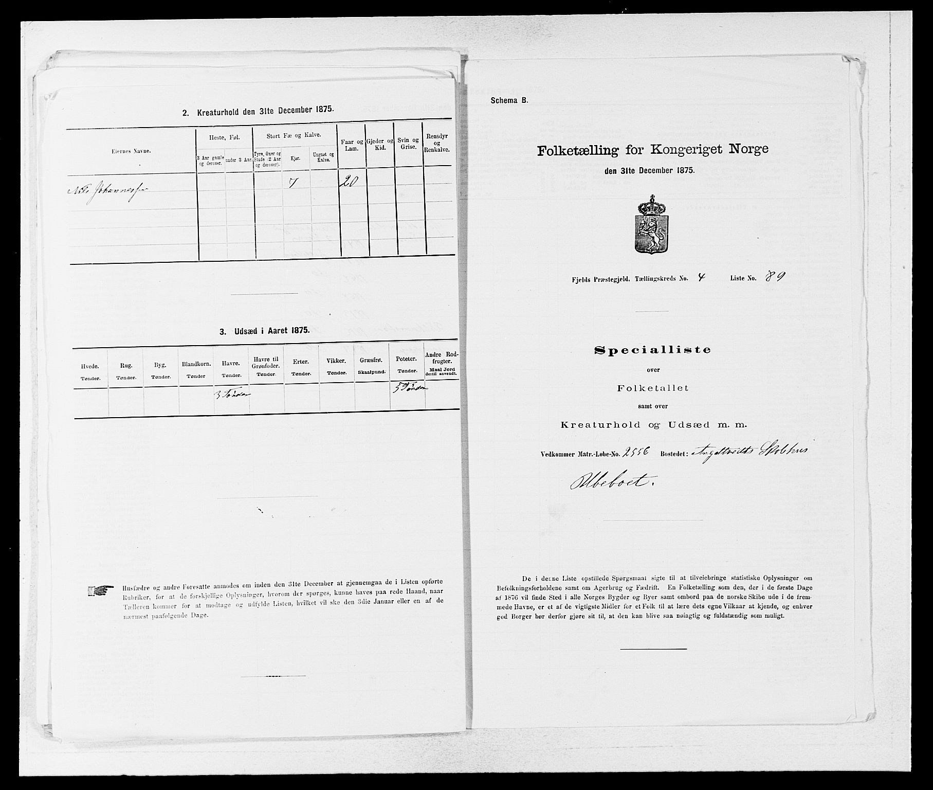 SAB, 1875 census for 1246P Fjell, 1875, p. 602