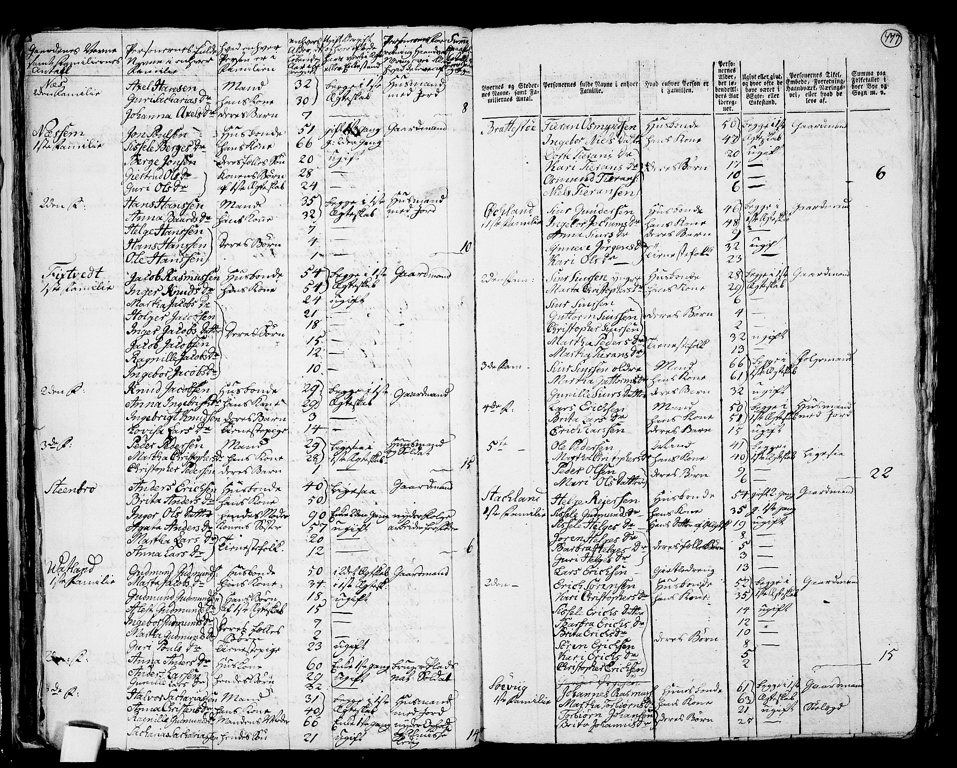 RA, 1801 census for 1154P Skjold, 1801, p. 476b-477a