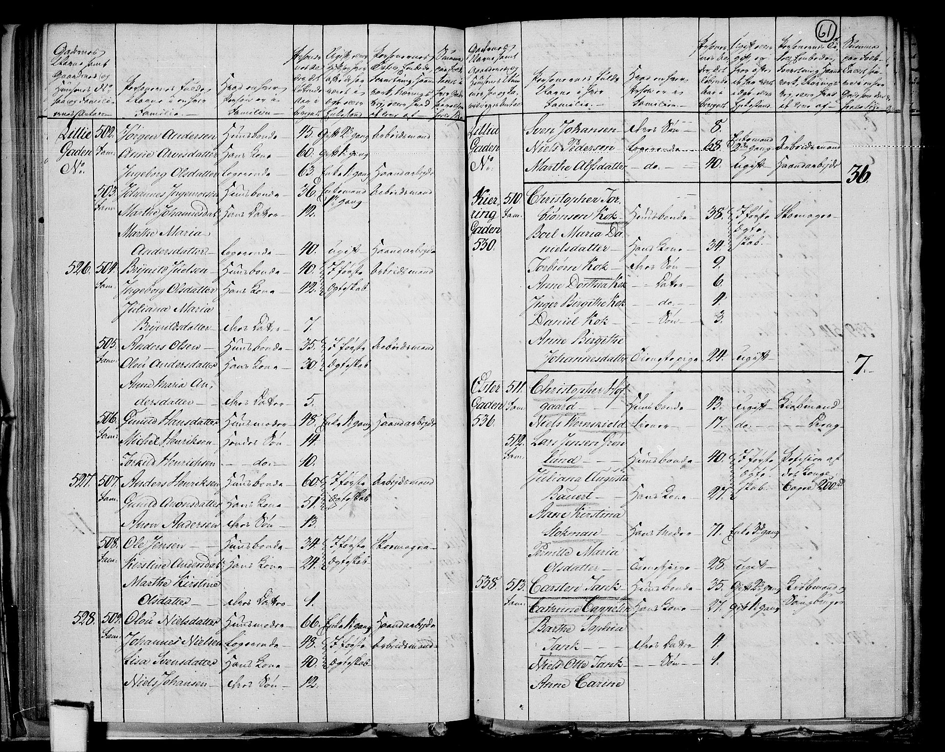 RA, 1801 census for 0101P Fredrikshald, 1801, p. 60b-61a