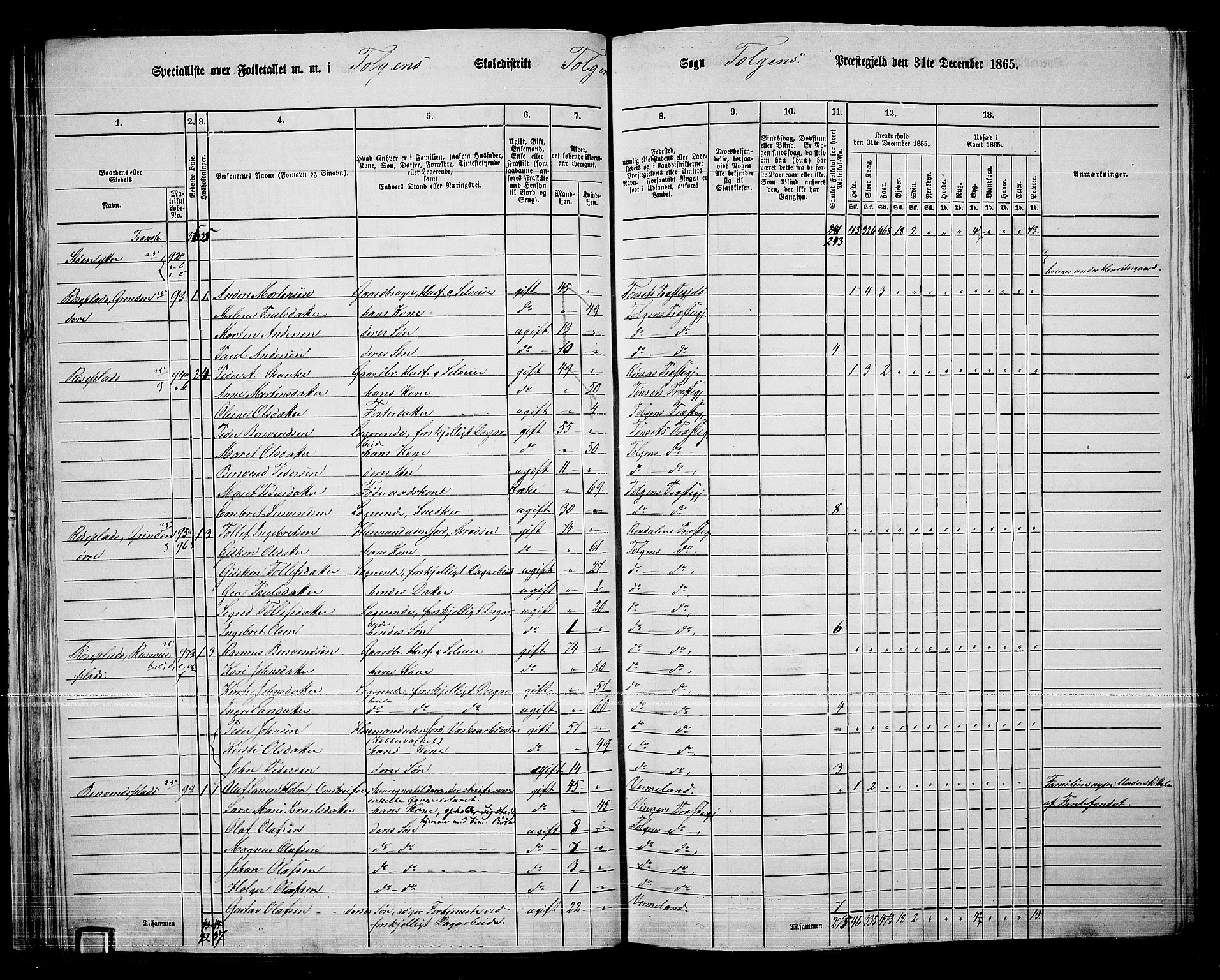 RA, 1865 census for Tolga, 1865, p. 46