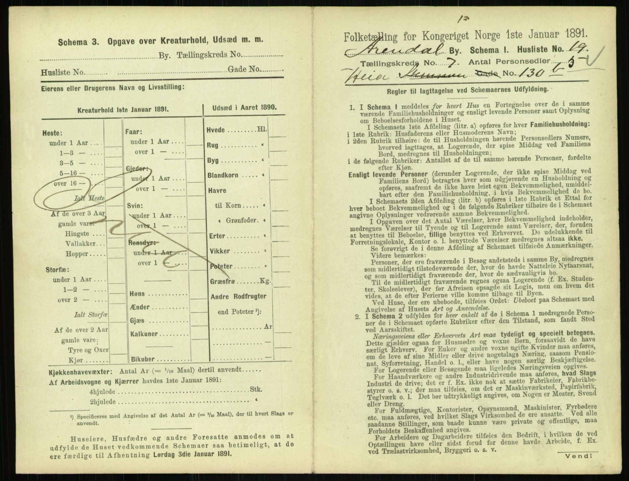 RA, 1891 census for 0903 Arendal, 1891, p. 394