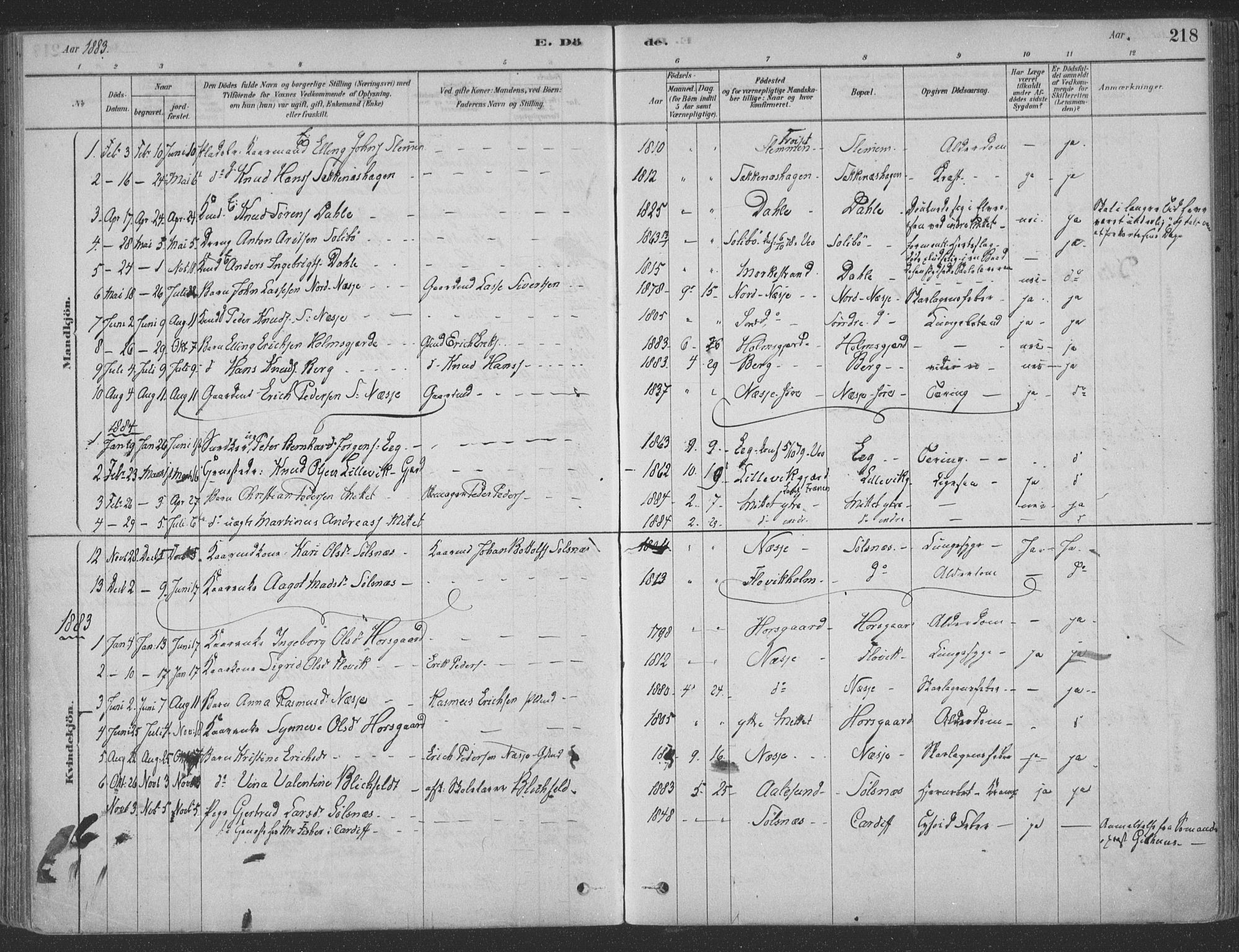 Ministerialprotokoller, klokkerbøker og fødselsregistre - Møre og Romsdal, SAT/A-1454/547/L0604: Parish register (official) no. 547A06, 1878-1906, p. 218