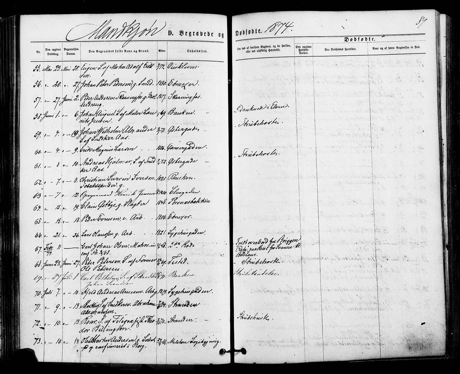 Halden prestekontor Kirkebøker, SAO/A-10909/F/Fa/L0010: Parish register (official) no. I 10, 1866-1877, p. 87