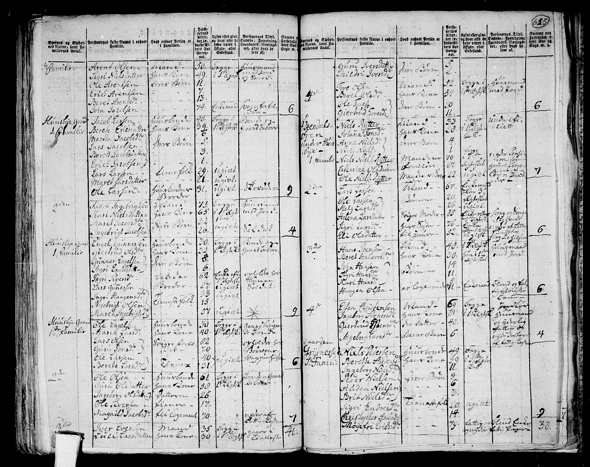 RA, 1801 census for 1563P Sunndal, 1801, p. 624b-625a