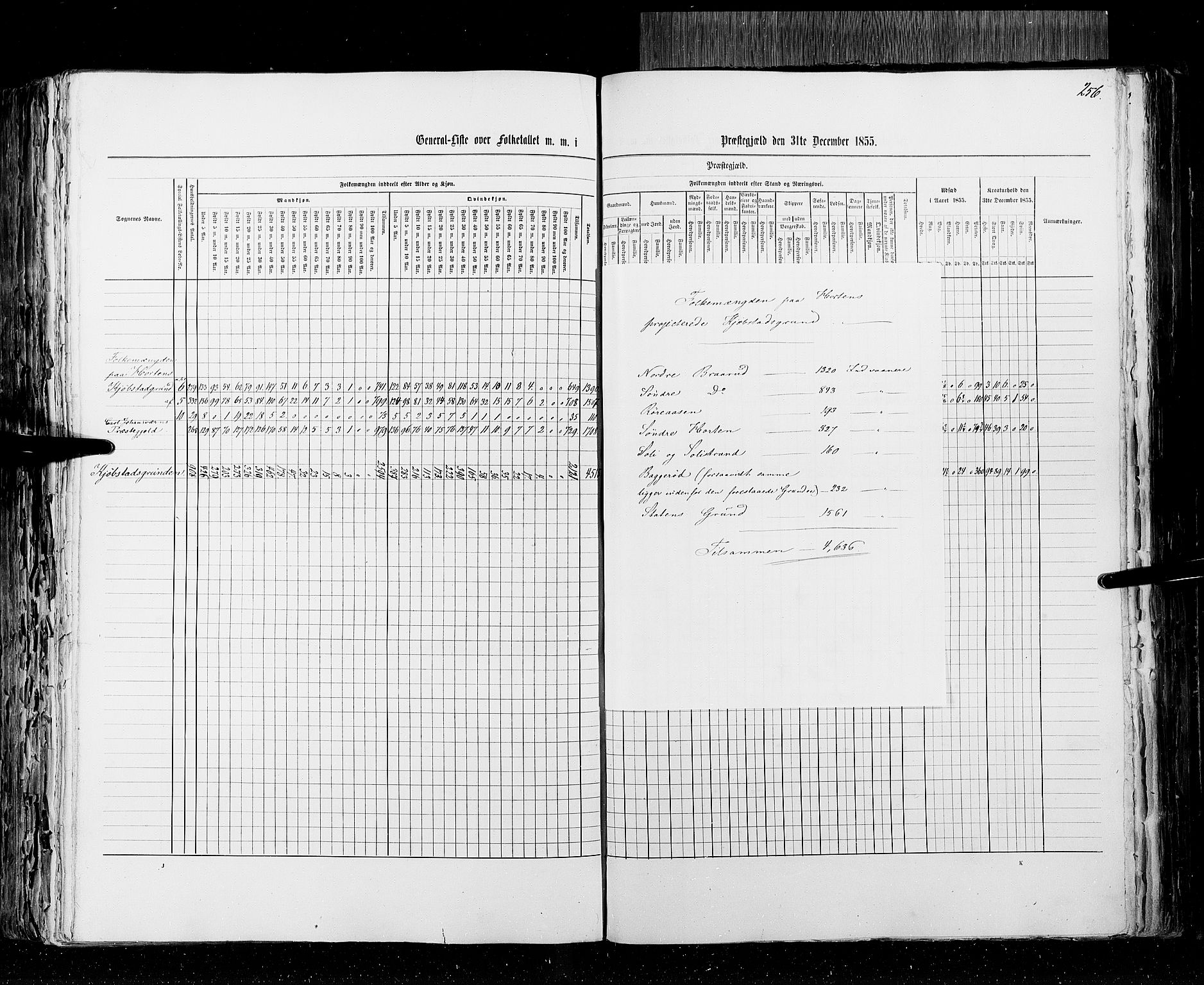 RA, Census 1855, vol. 2: Kristians amt, Buskerud amt og Jarlsberg og Larvik amt, 1855, p. 256