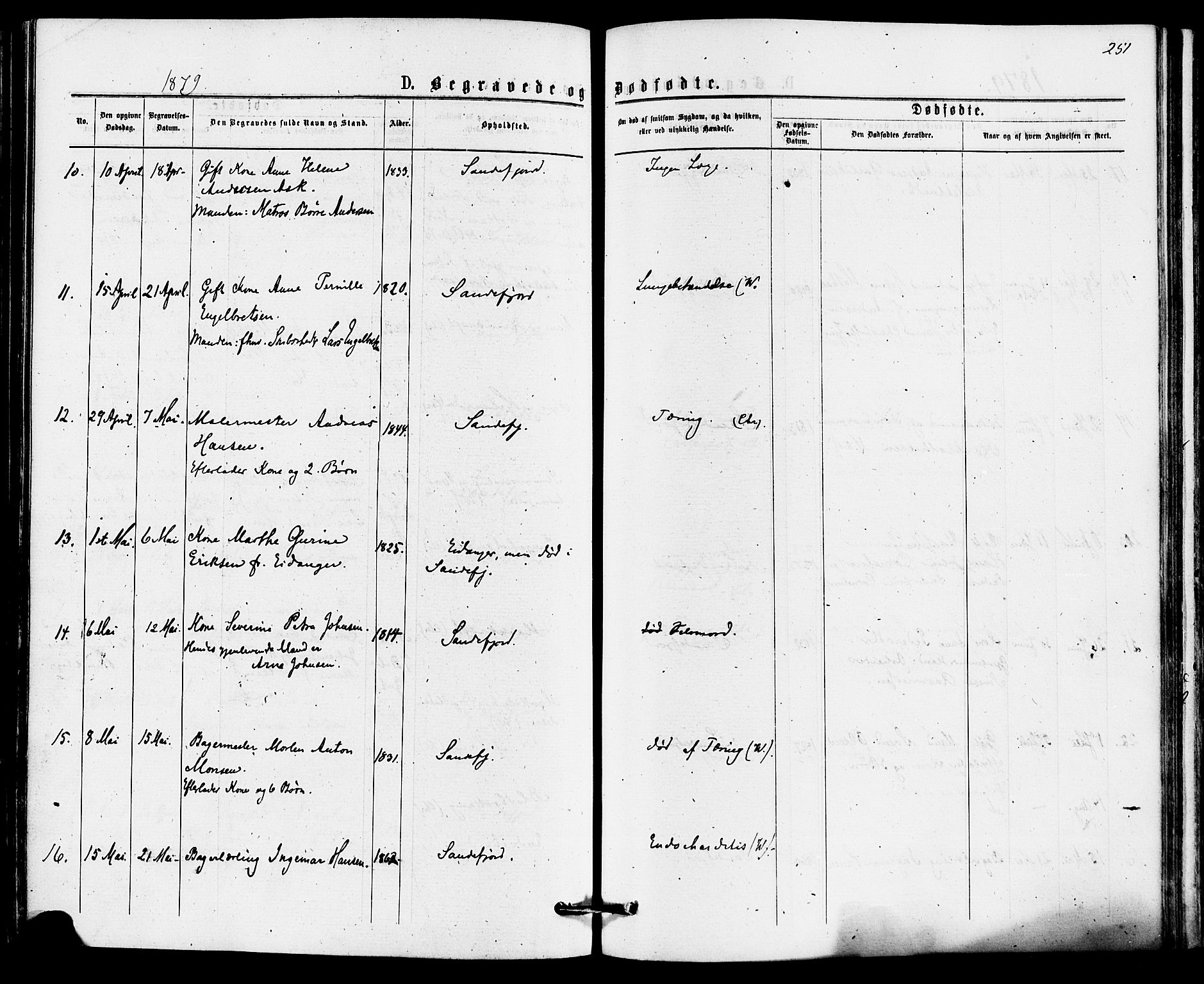 Sandefjord kirkebøker, AV/SAKO-A-315/F/Fa/L0001: Parish register (official) no. 1, 1873-1879, p. 251