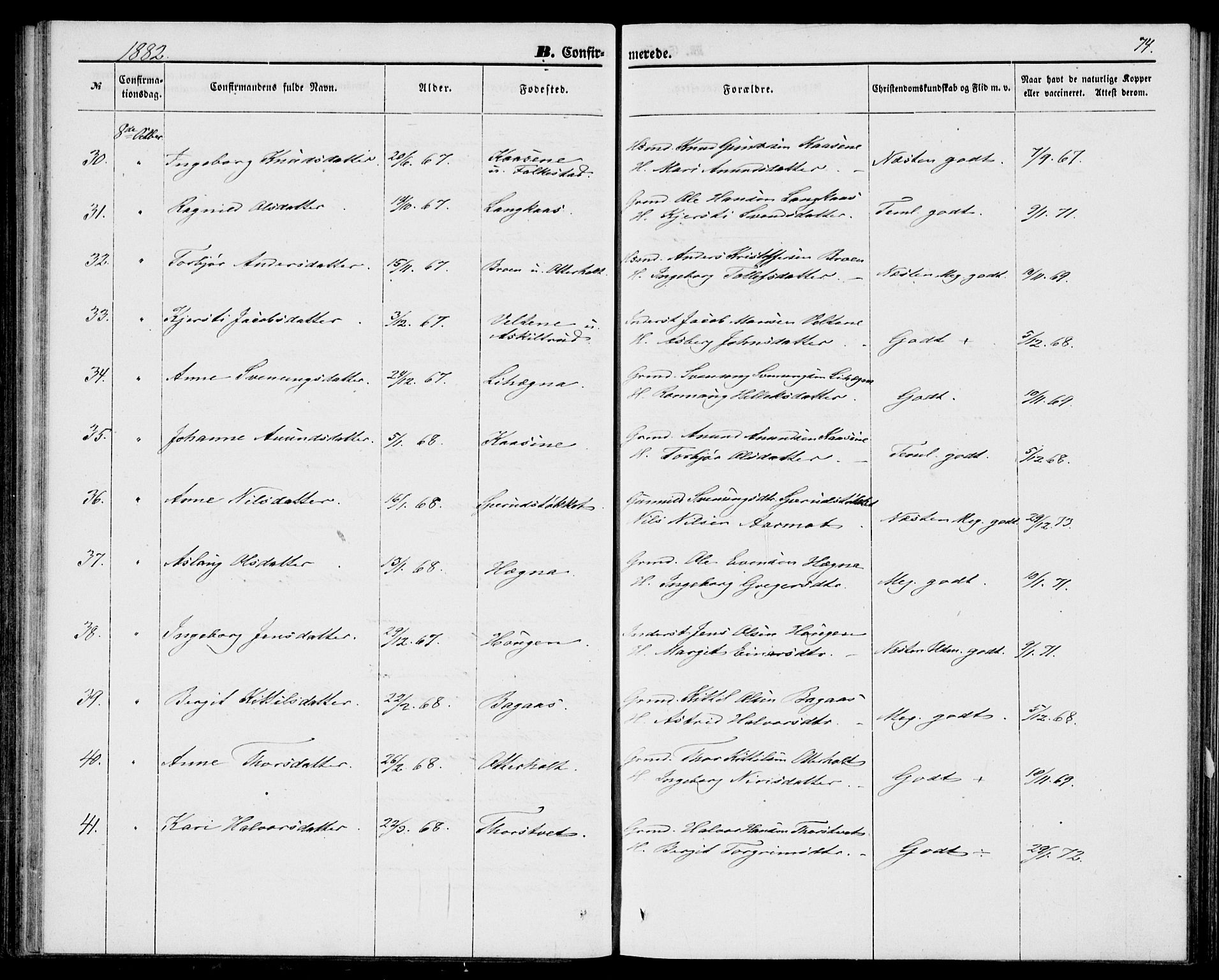 Bø kirkebøker, SAKO/A-257/G/Ga/L0004: Parish register (copy) no. 4, 1876-1882, p. 74