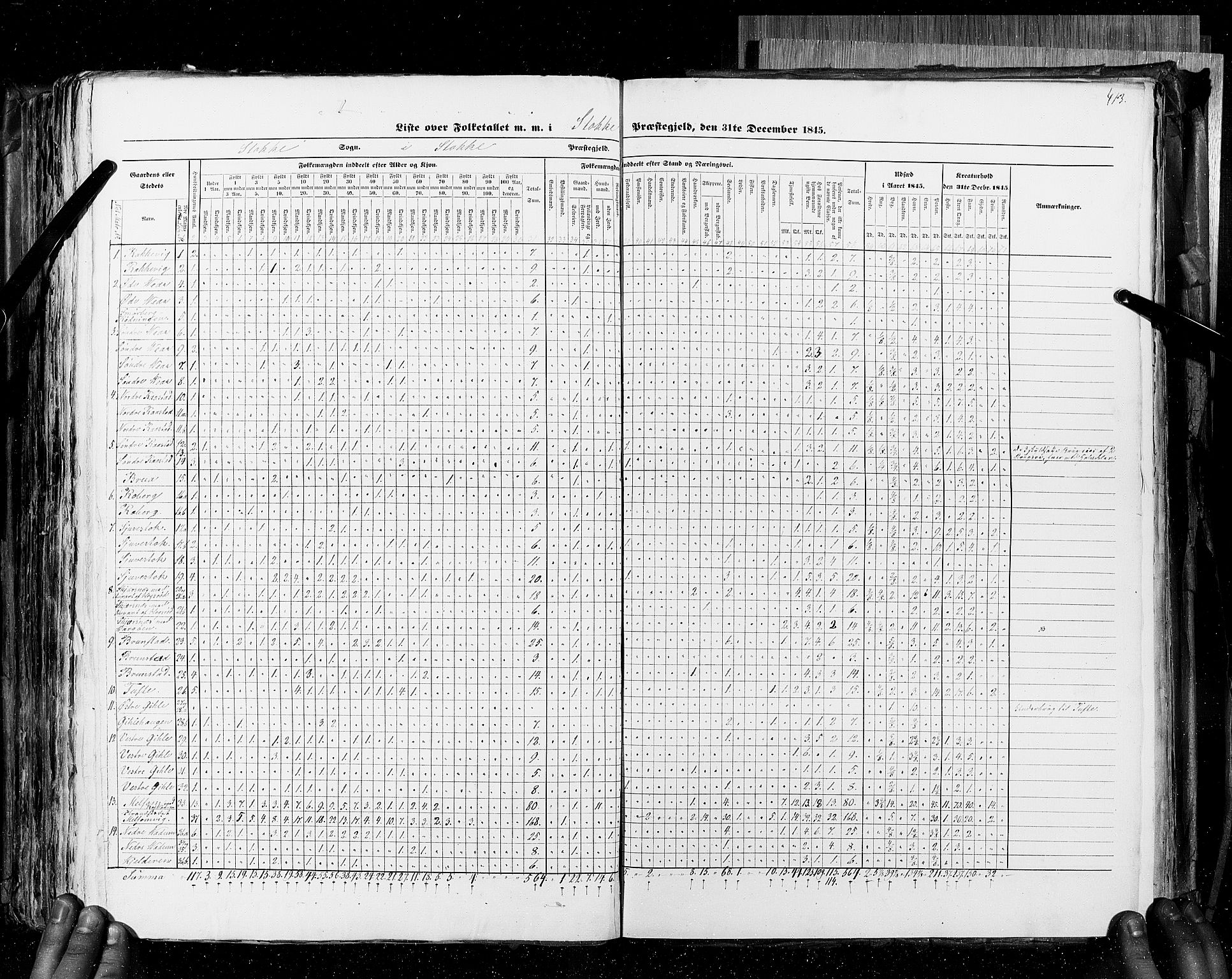 RA, Census 1845, vol. 4: Buskerud amt og Jarlsberg og Larvik amt, 1845, p. 413