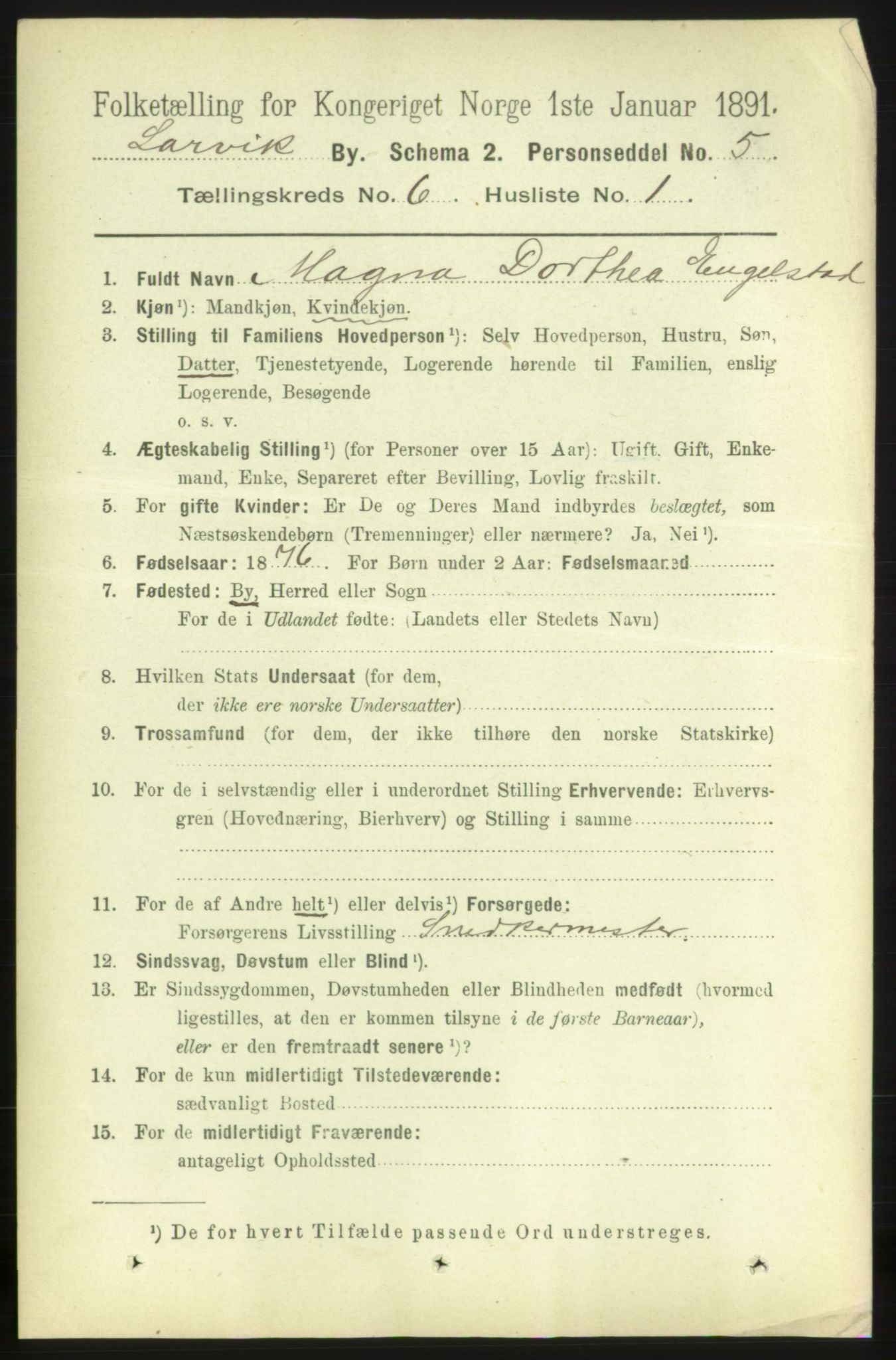 RA, 1891 census for 0707 Larvik, 1891, p. 6585