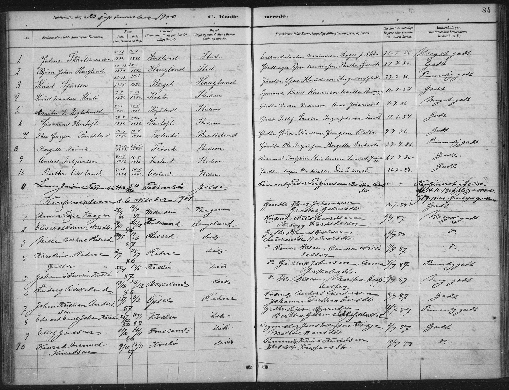 Vikedal sokneprestkontor, AV/SAST-A-101840/01/IV: Parish register (official) no. A 12, 1886-1929, p. 84