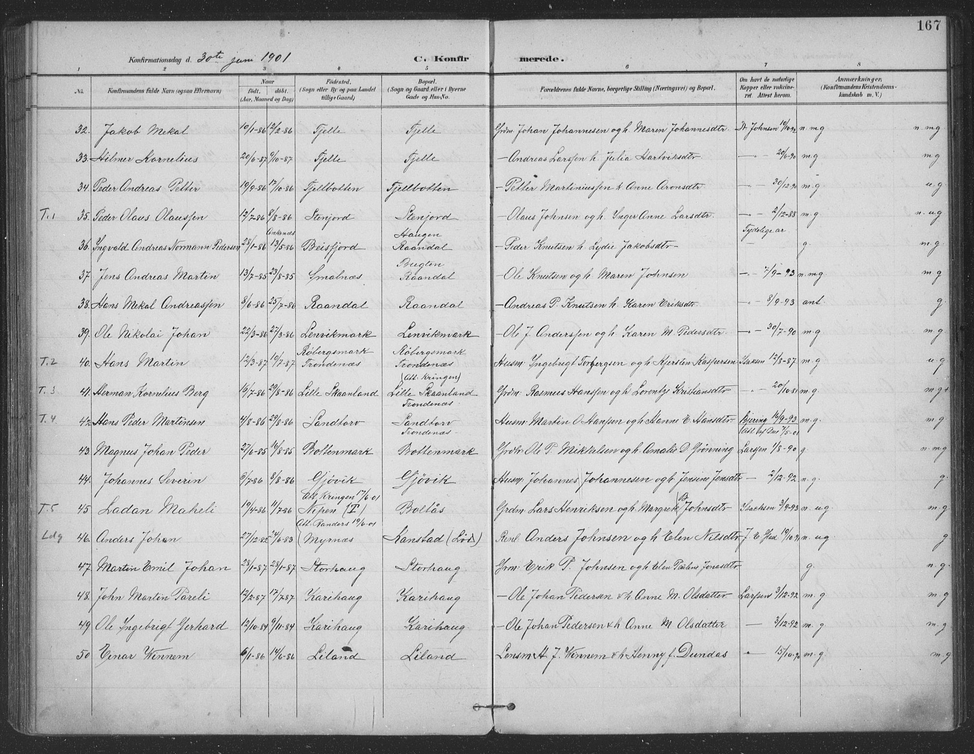 Ministerialprotokoller, klokkerbøker og fødselsregistre - Nordland, SAT/A-1459/863/L0899: Parish register (official) no. 863A11, 1897-1906, p. 167