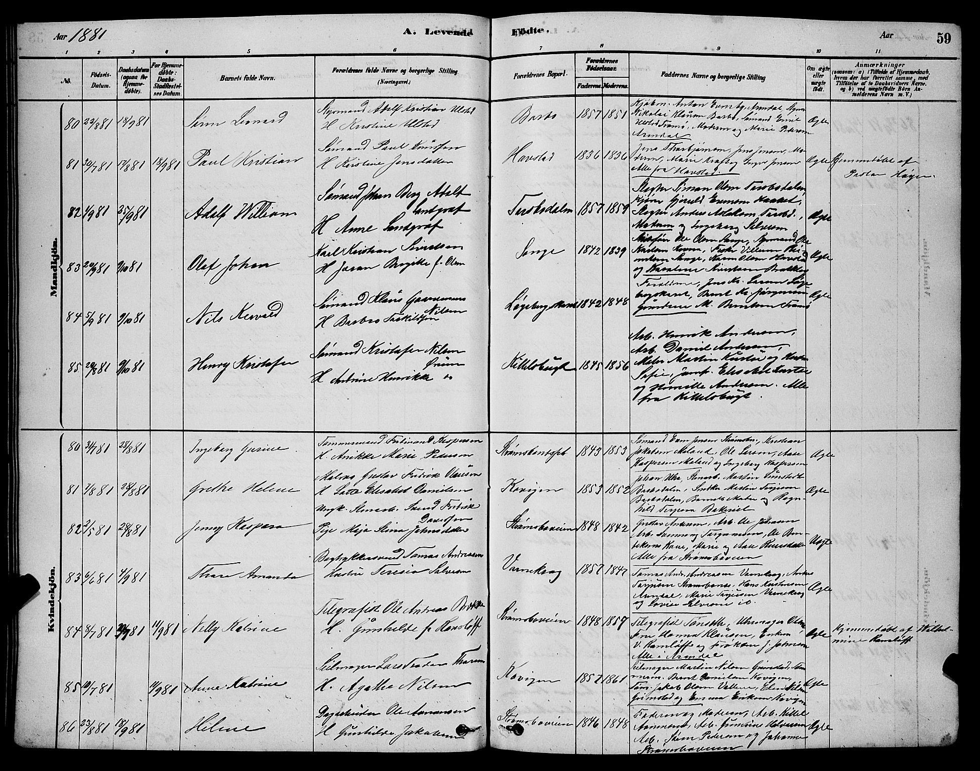 Barbu sokneprestkontor, AV/SAK-1111-0003/F/Fb/L0001: Parish register (copy) no. B 1, 1878-1890, p. 59