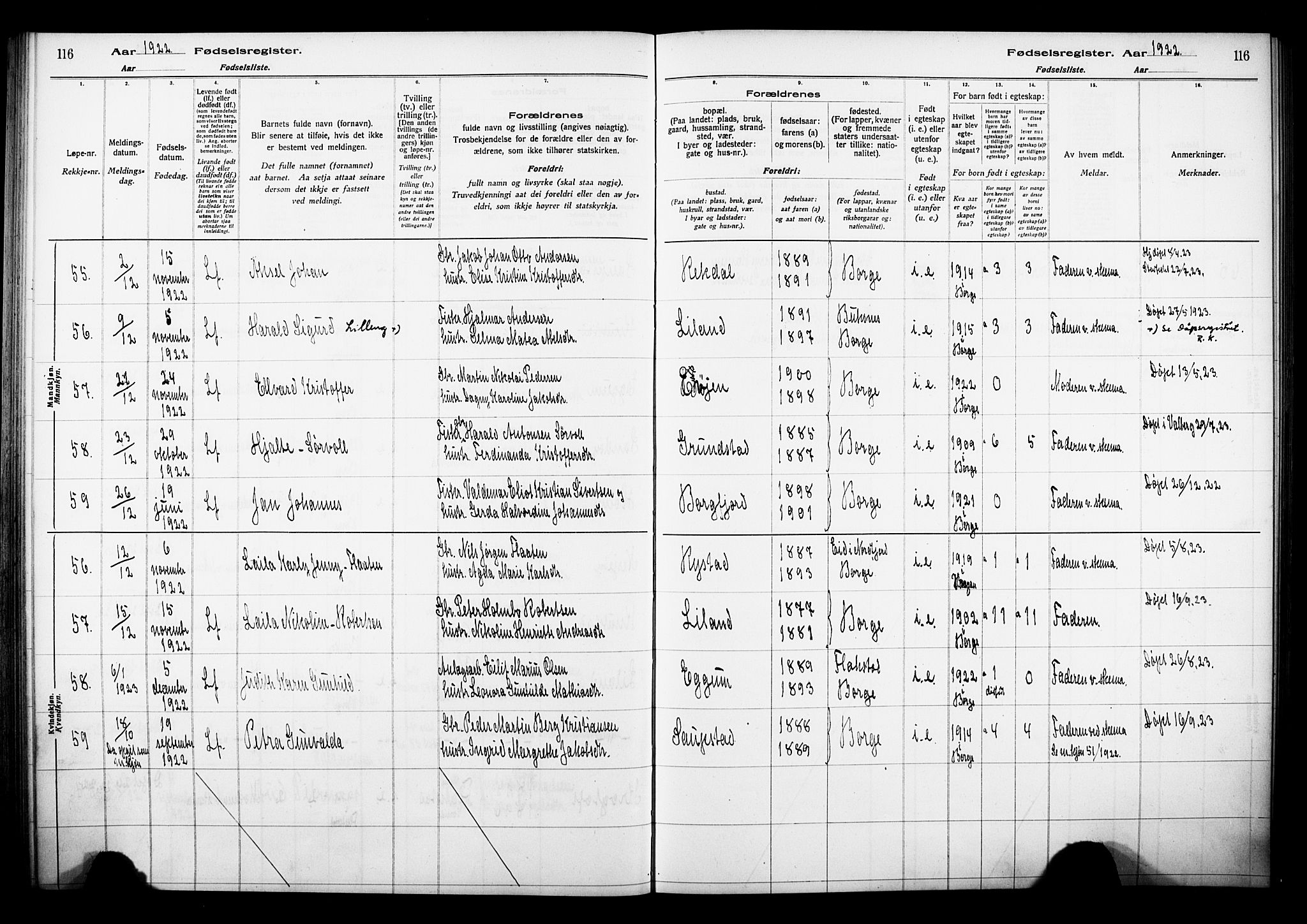 Ministerialprotokoller, klokkerbøker og fødselsregistre - Nordland, AV/SAT-A-1459/880/L1145: Birth register no. 880.II.4.1, 1916-1929, p. 116