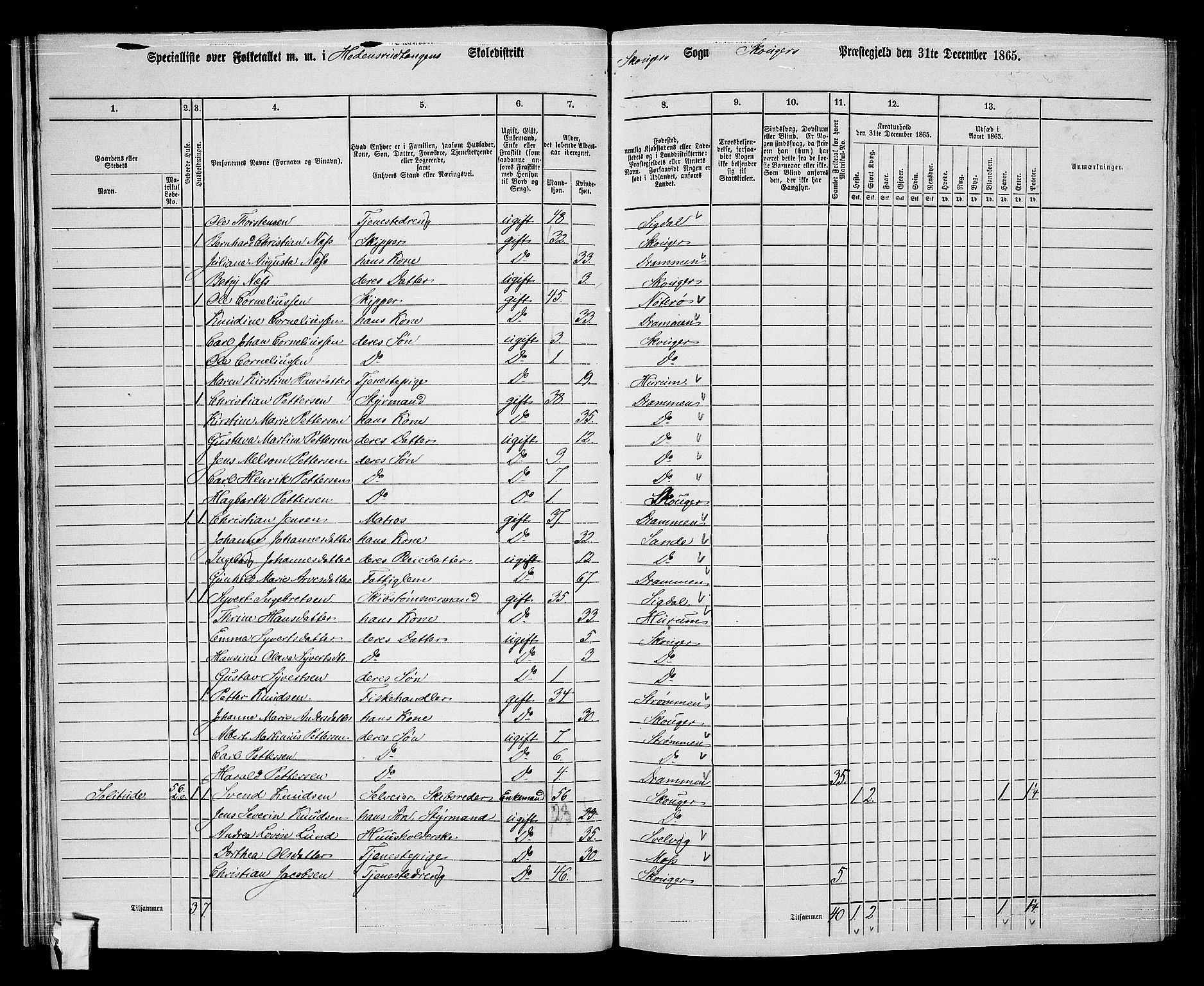 RA, 1865 census for Skoger, 1865, p. 35