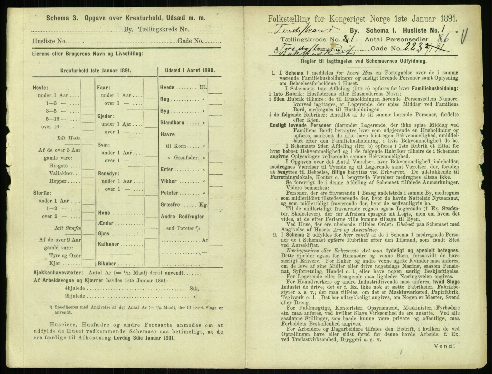 RA, 1891 census for 0902 Tvedestrand, 1891, p. 14