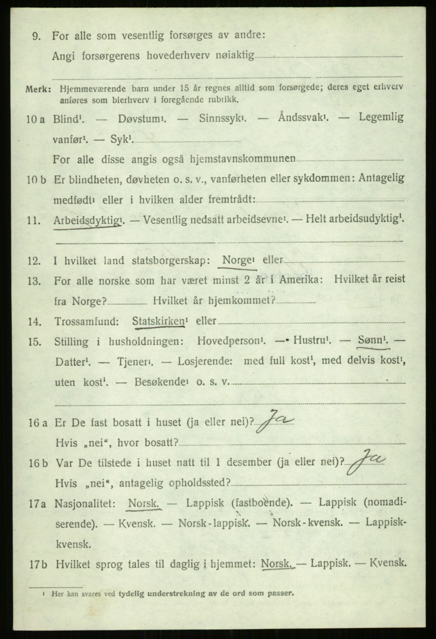 SATØ, 1920 census for Ibestad, 1920, p. 12924