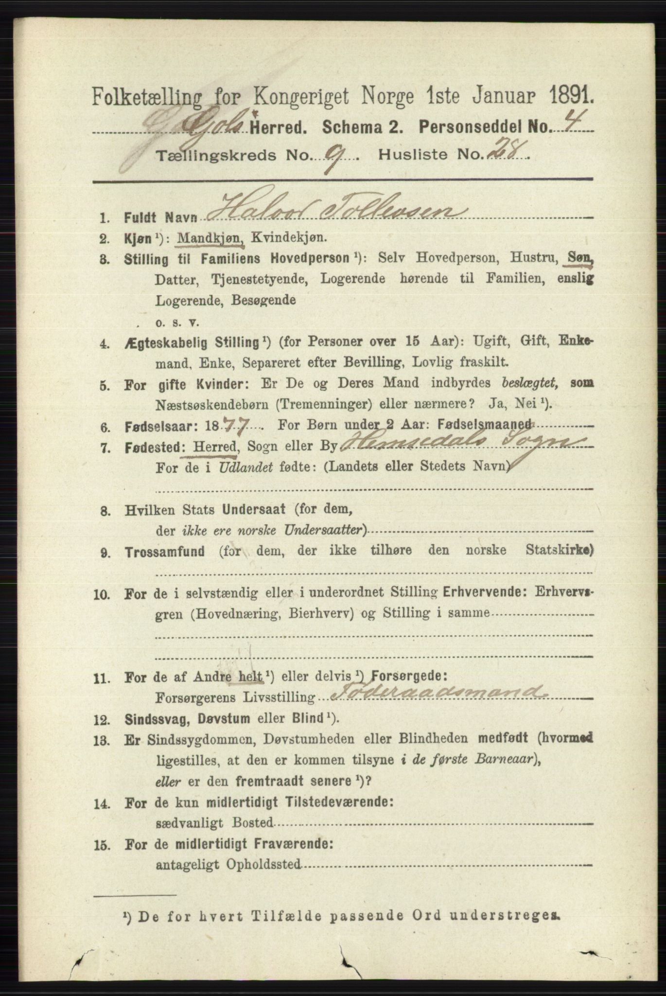 RA, 1891 census for 0617 Gol og Hemsedal, 1891, p. 3562