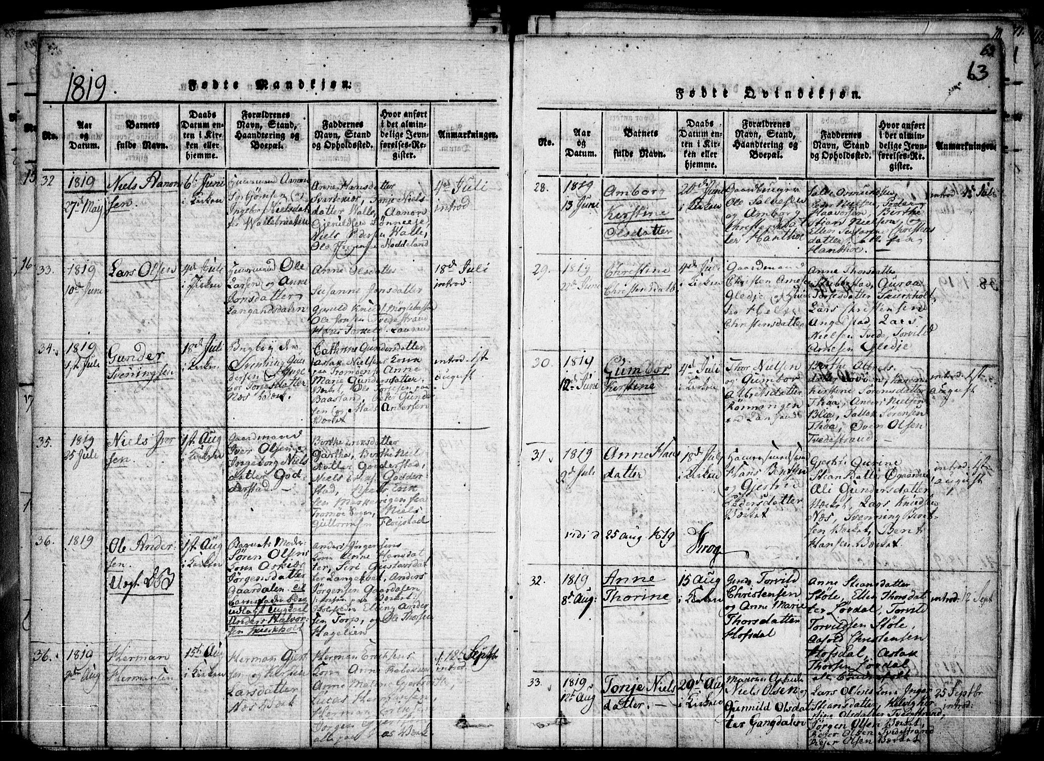 Holt sokneprestkontor, AV/SAK-1111-0021/F/Fa/L0005: Parish register (official) no. A 5, 1813-1821, p. 63