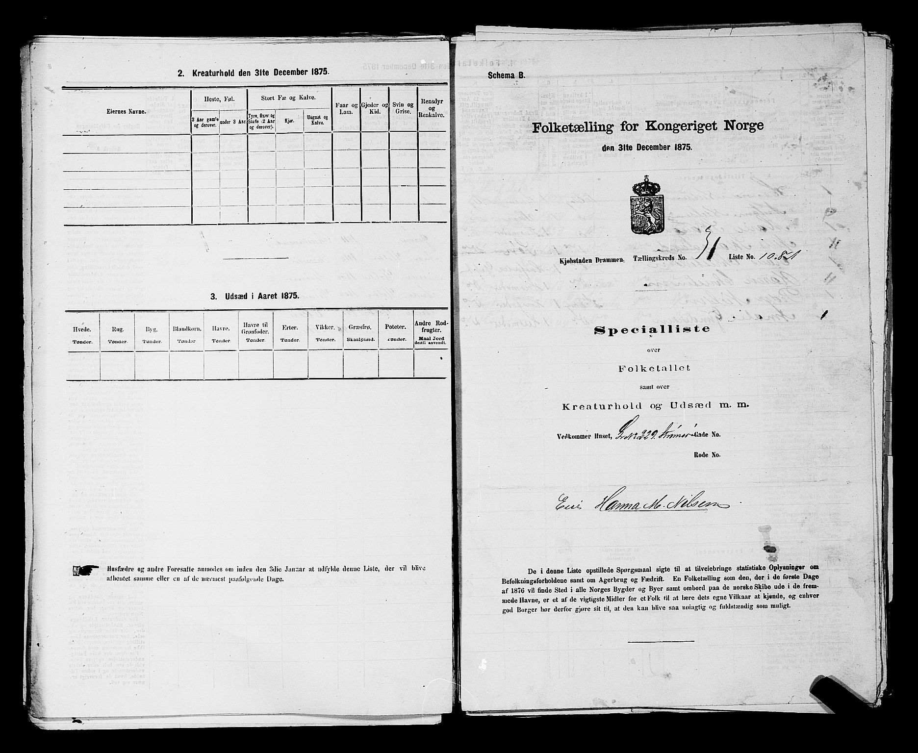 SAKO, 1875 census for 0602 Drammen, 1875, p. 2865