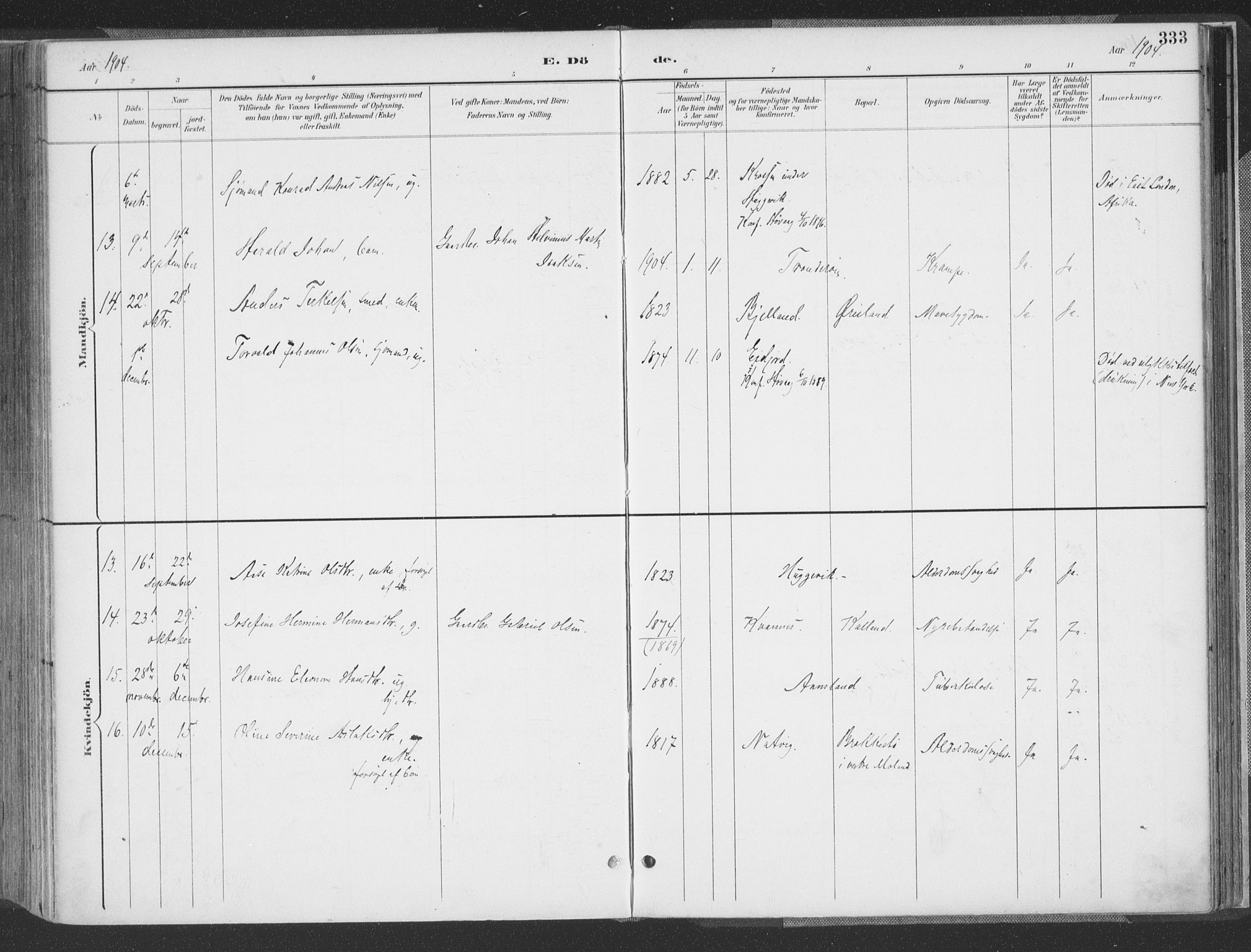 Høvåg sokneprestkontor, AV/SAK-1111-0025/F/Fa/L0006: Parish register (official) no. A 6, 1894-1923, p. 333