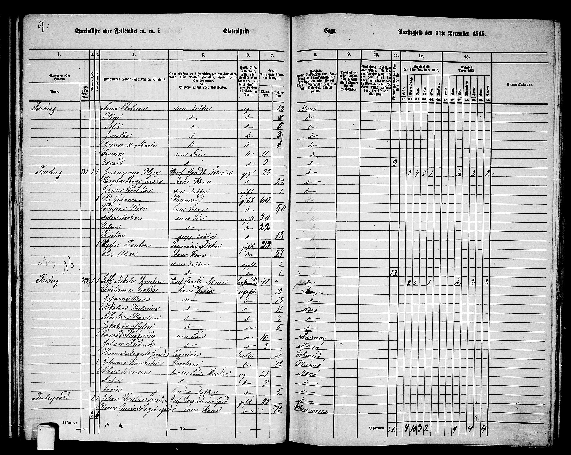 RA, 1865 census for Nærøy, 1865, p. 32