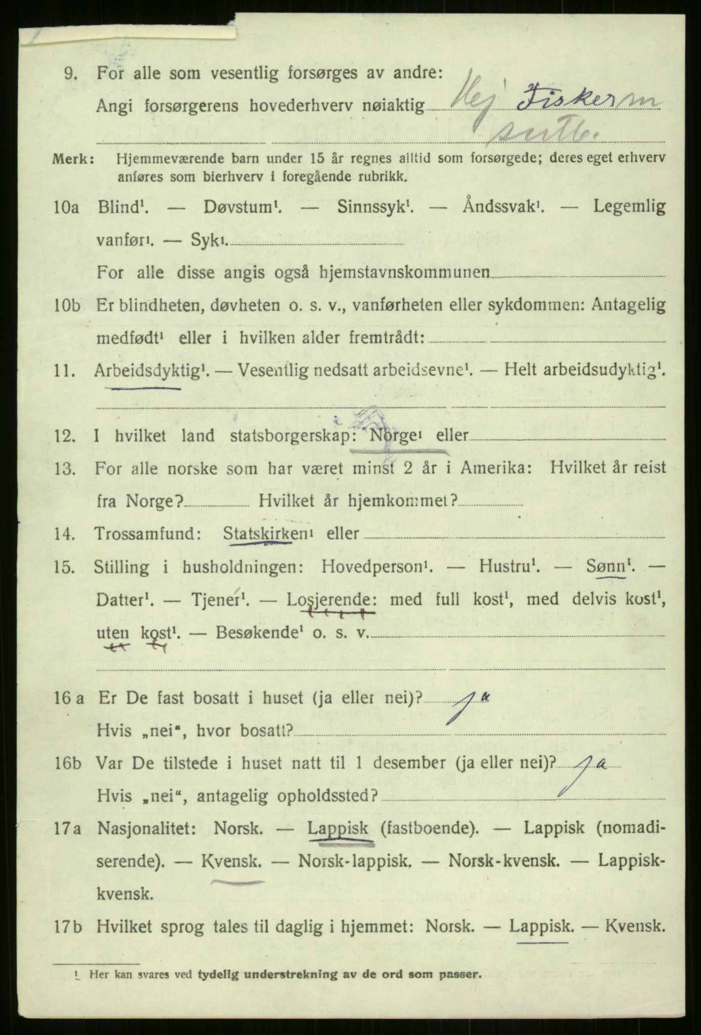 SATØ, 1920 census for Kvænangen, 1920, p. 1215