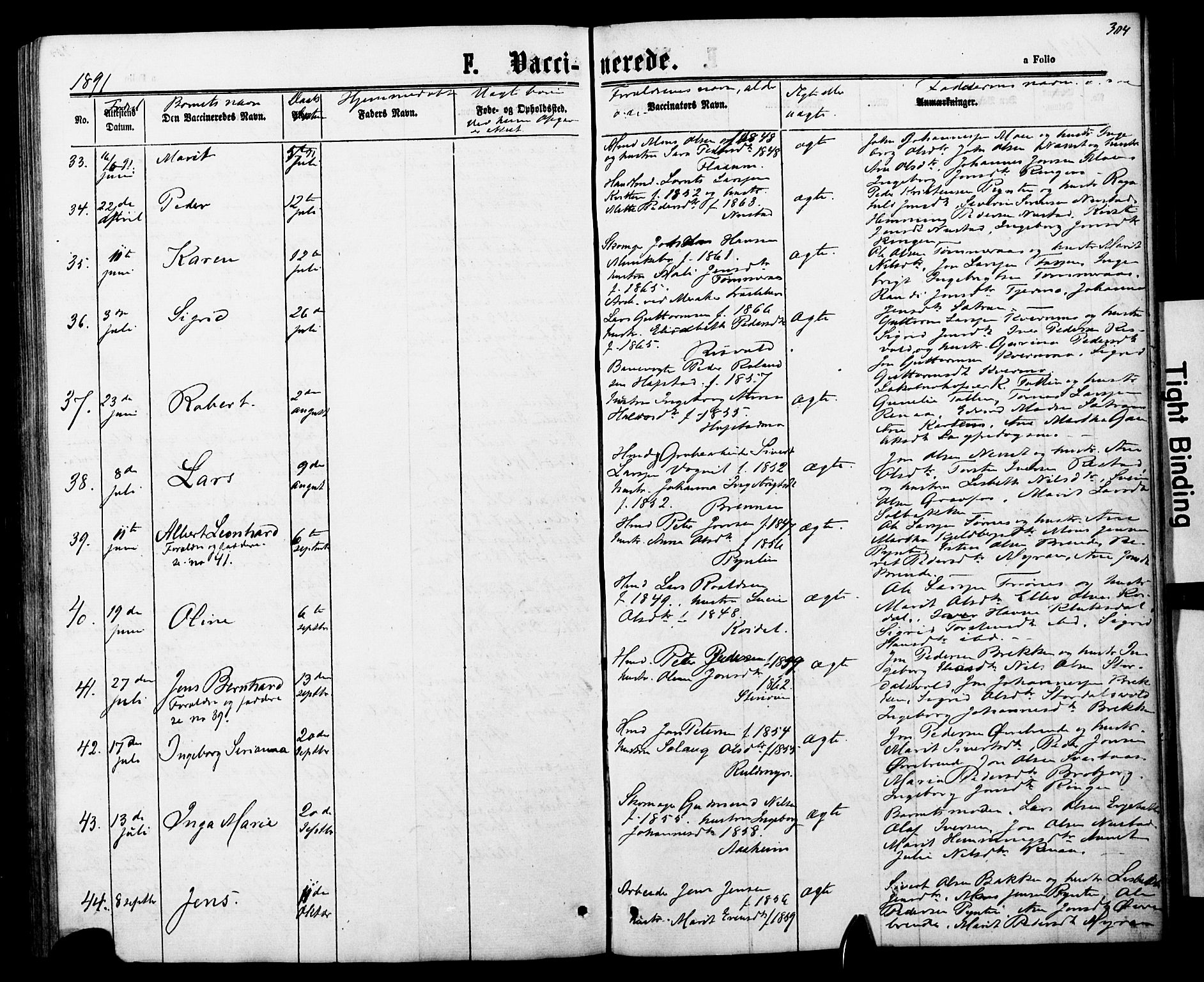 Ministerialprotokoller, klokkerbøker og fødselsregistre - Nord-Trøndelag, AV/SAT-A-1458/706/L0049: Parish register (copy) no. 706C01, 1864-1895, p. 304