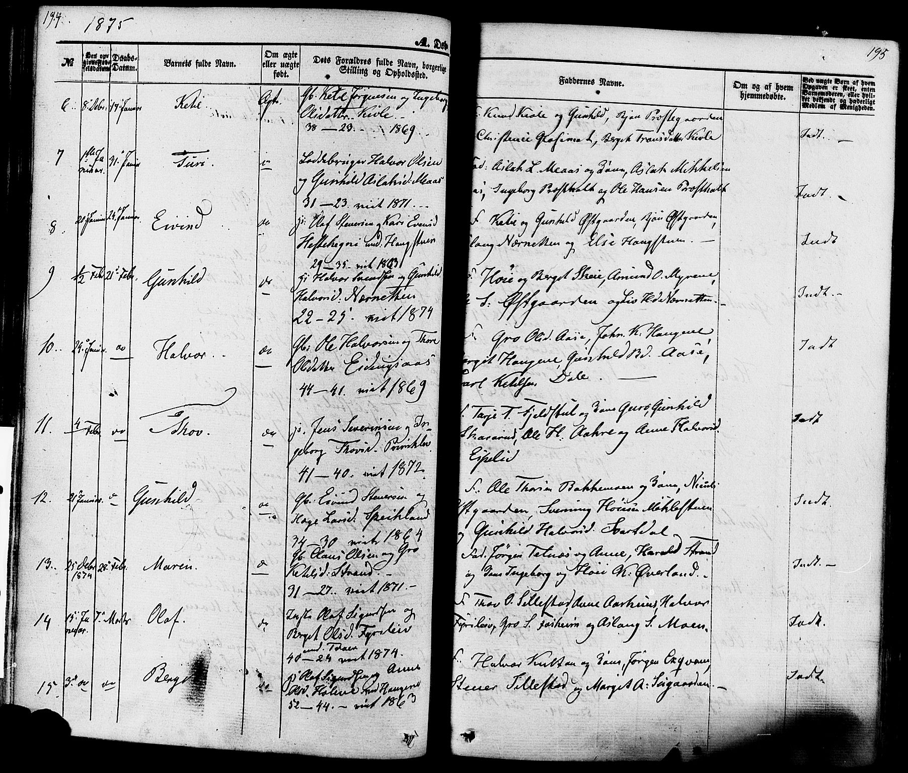 Seljord kirkebøker, SAKO/A-20/F/Fa/L0013: Parish register (official) no. I 13, 1866-1876, p. 194-195