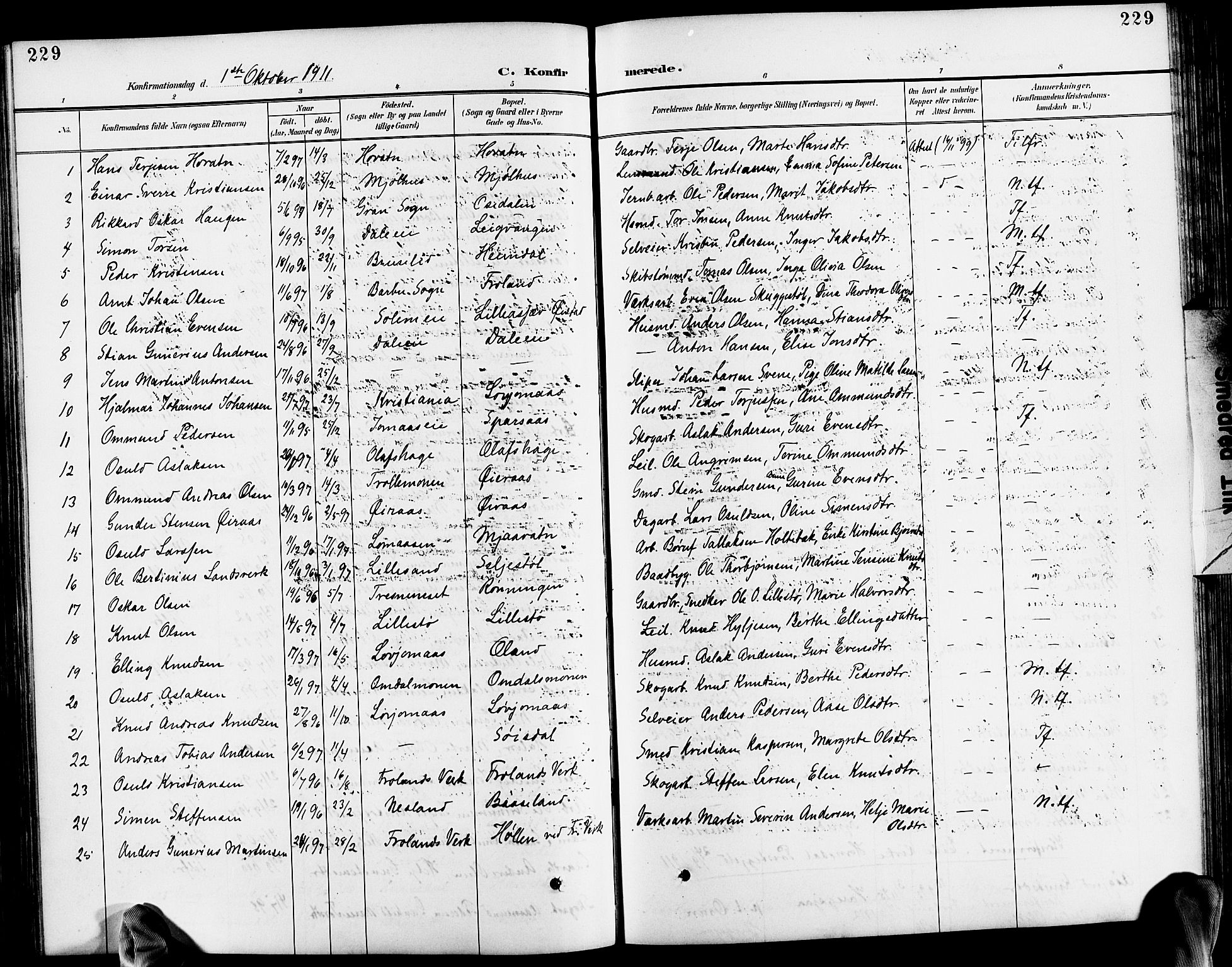 Froland sokneprestkontor, SAK/1111-0013/F/Fb/L0010: Parish register (copy) no. B 10, 1893-1920, p. 229