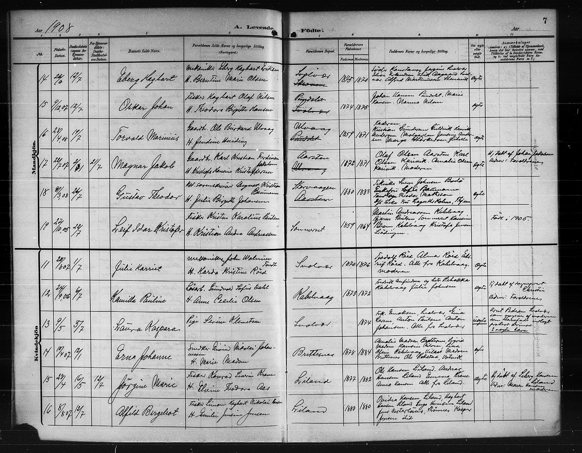 Ministerialprotokoller, klokkerbøker og fødselsregistre - Nordland, AV/SAT-A-1459/874/L1079: Parish register (copy) no. 874C08, 1907-1915, p. 7