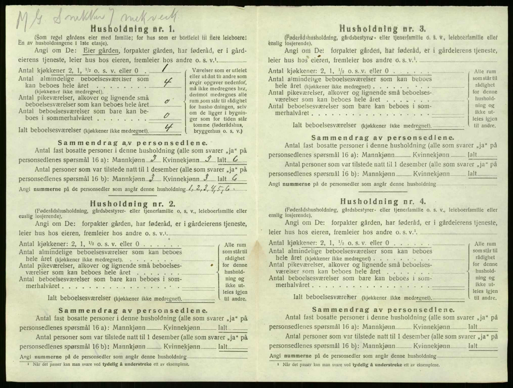 SAKO, 1920 census for Nøtterøy, 1920, p. 899