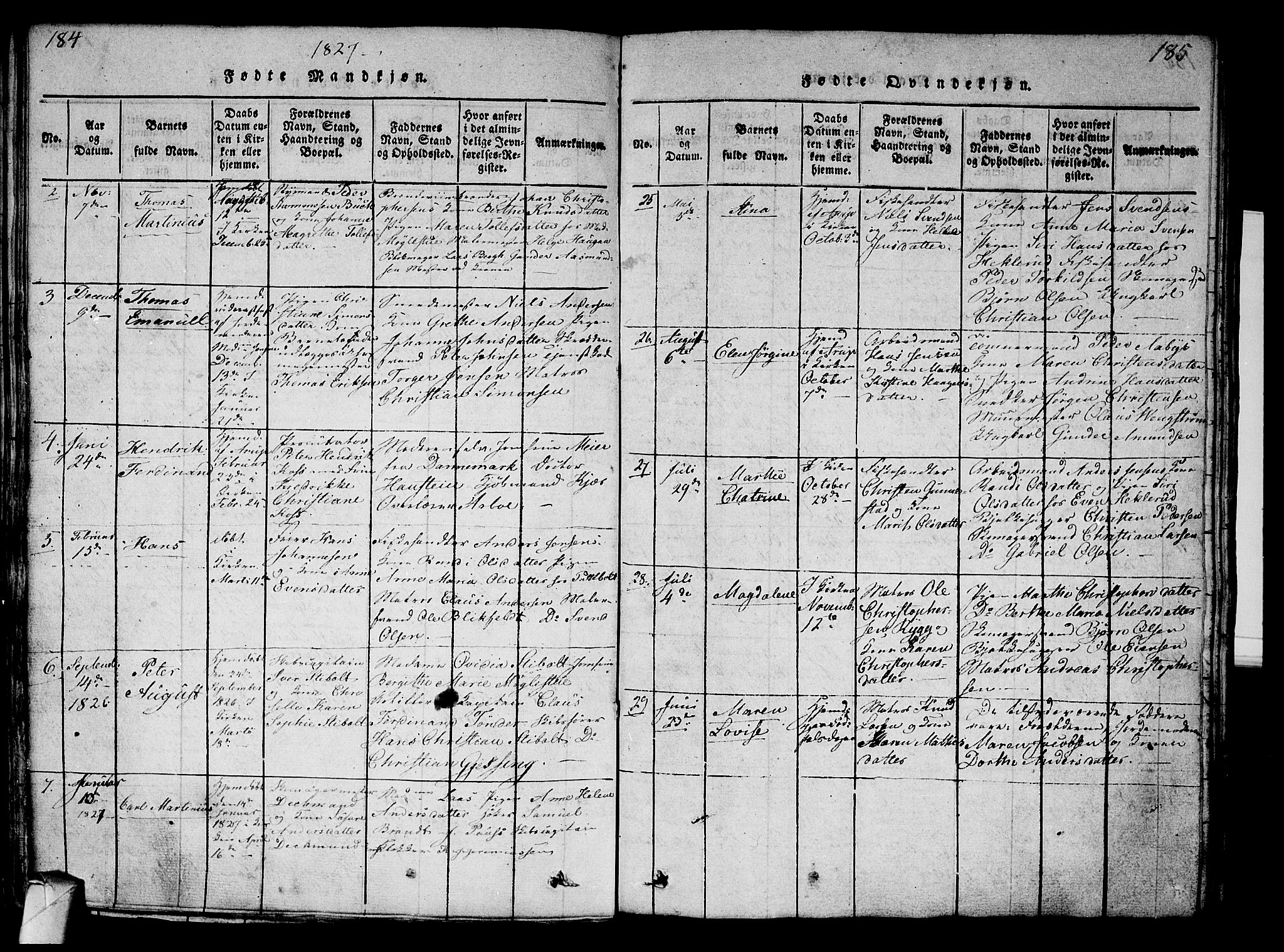 Strømsø kirkebøker, AV/SAKO-A-246/G/Ga/L0001: Parish register (copy) no. 1, 1815-1829, p. 184-185