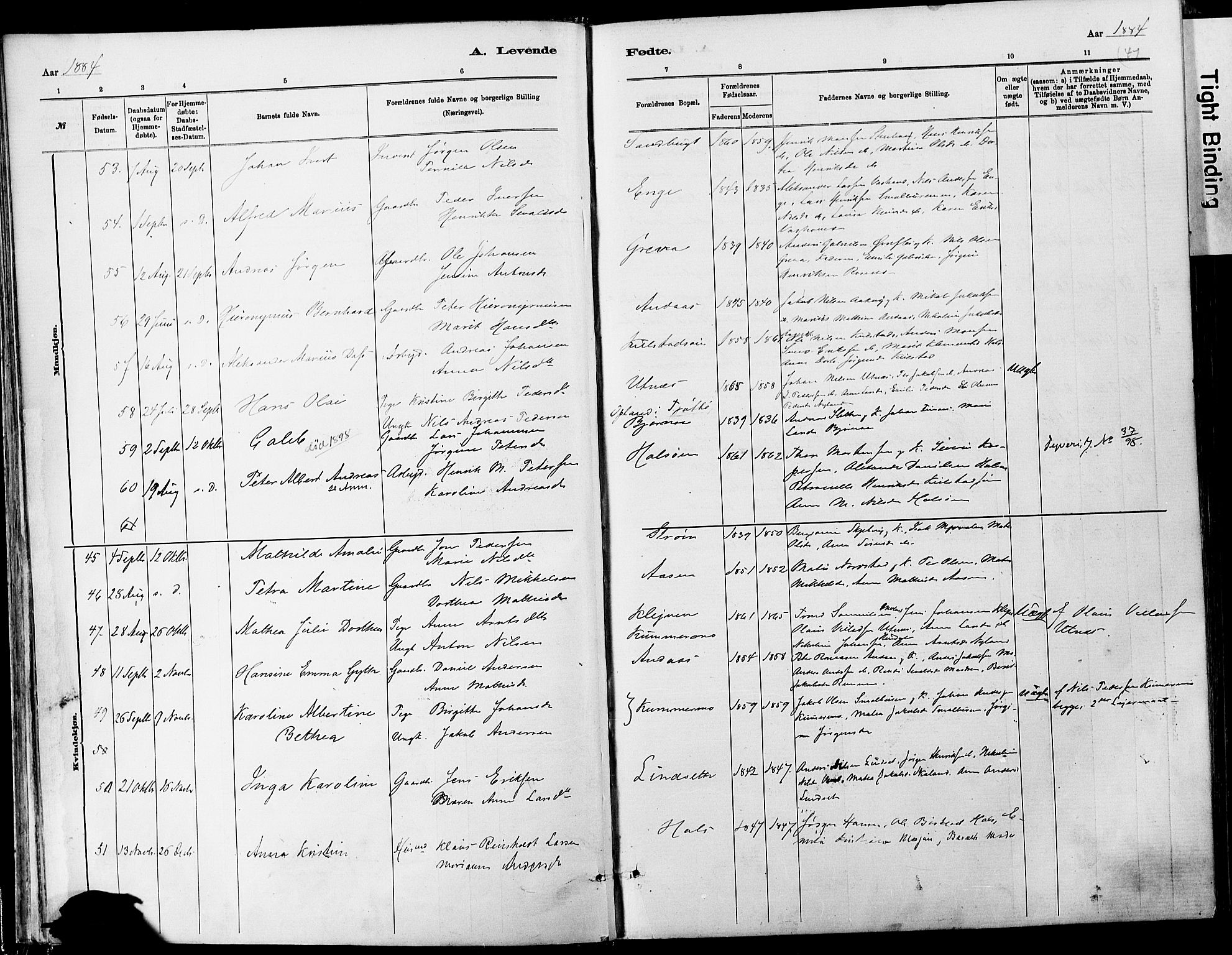 Ministerialprotokoller, klokkerbøker og fødselsregistre - Nordland, AV/SAT-A-1459/820/L0295: Parish register (official) no. 820A16, 1880-1896, p. 41