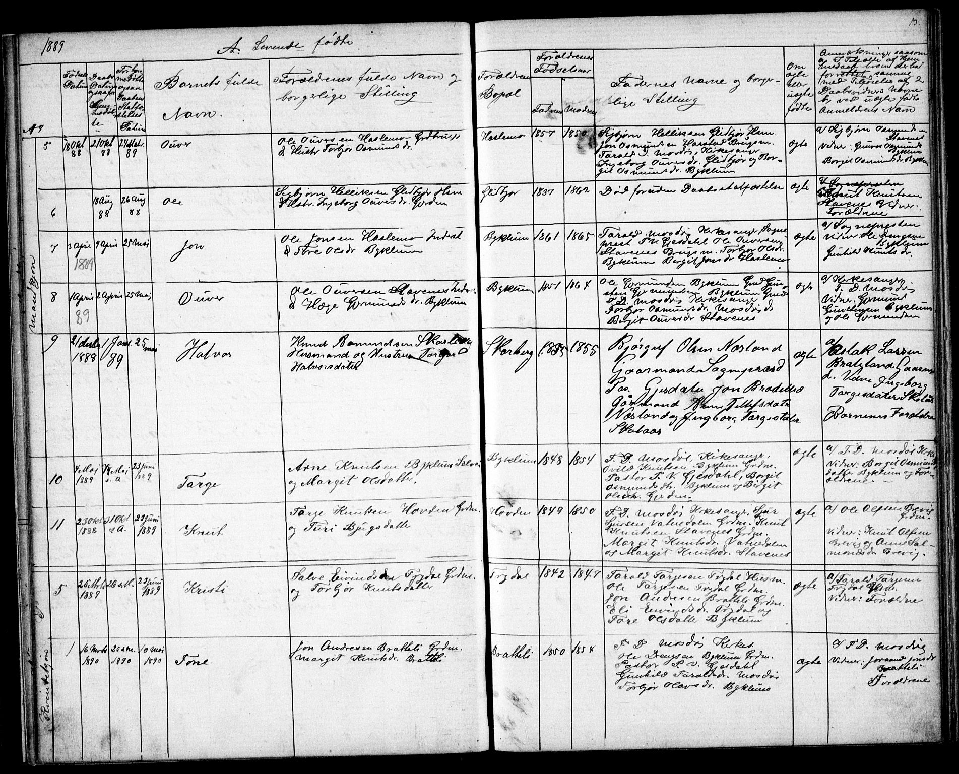Valle sokneprestkontor, SAK/1111-0044/F/Fb/Fba/L0002: Parish register (copy) no. B 2, 1882-1894, p. 13