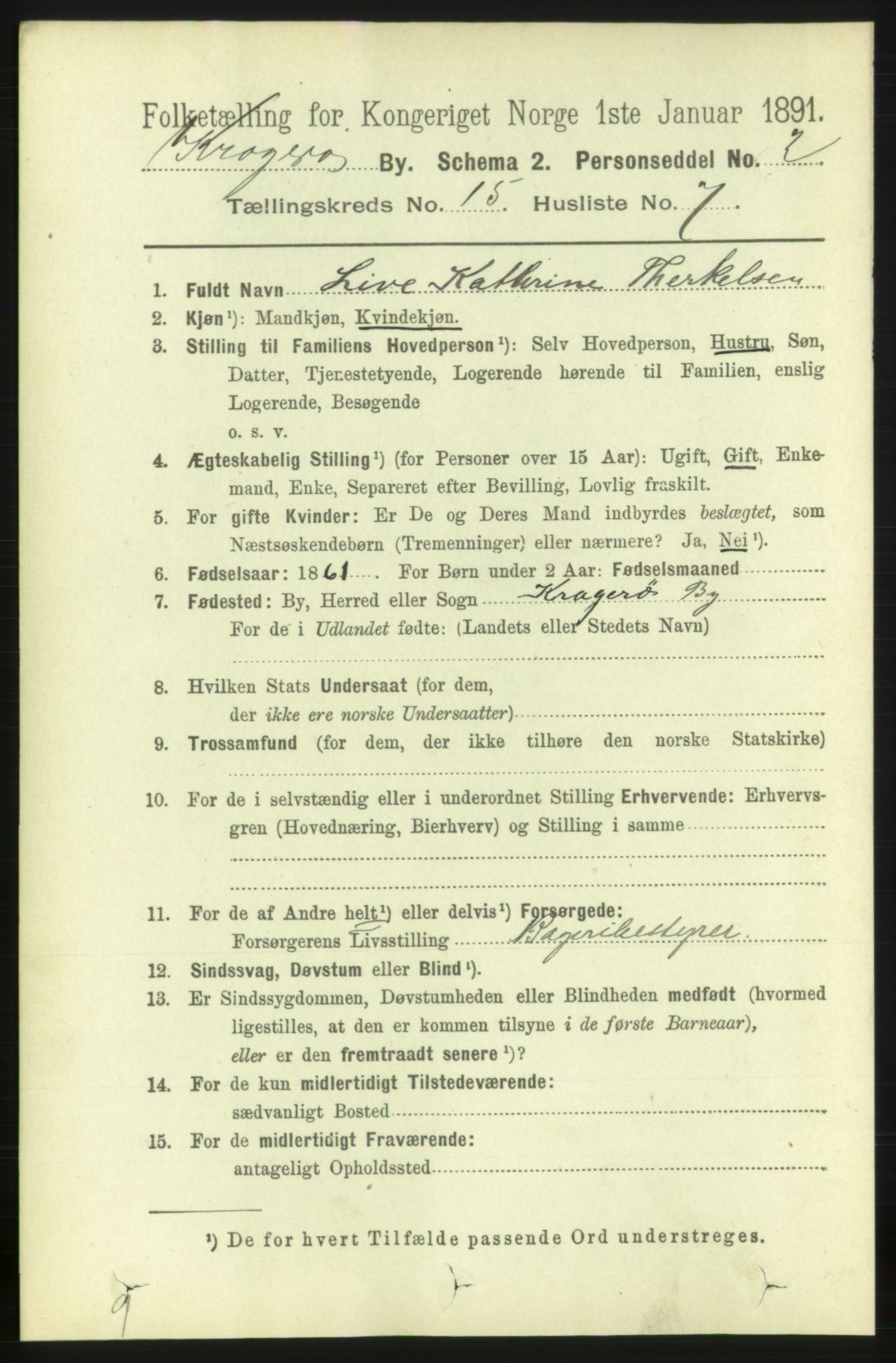 RA, 1891 census for 0801 Kragerø, 1891, p. 4270