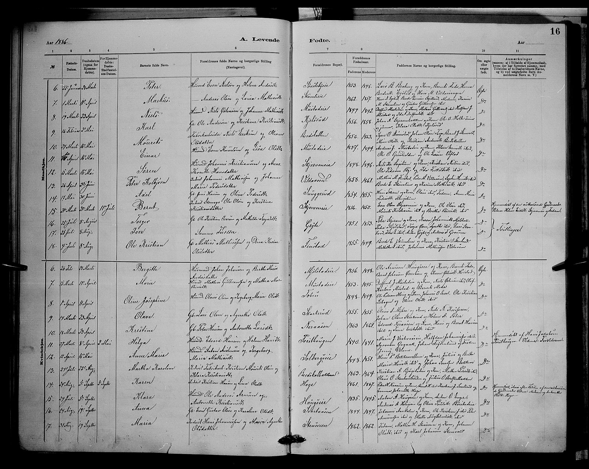 Vardal prestekontor, SAH/PREST-100/H/Ha/Hab/L0008: Parish register (copy) no. 8, 1881-1898, p. 16