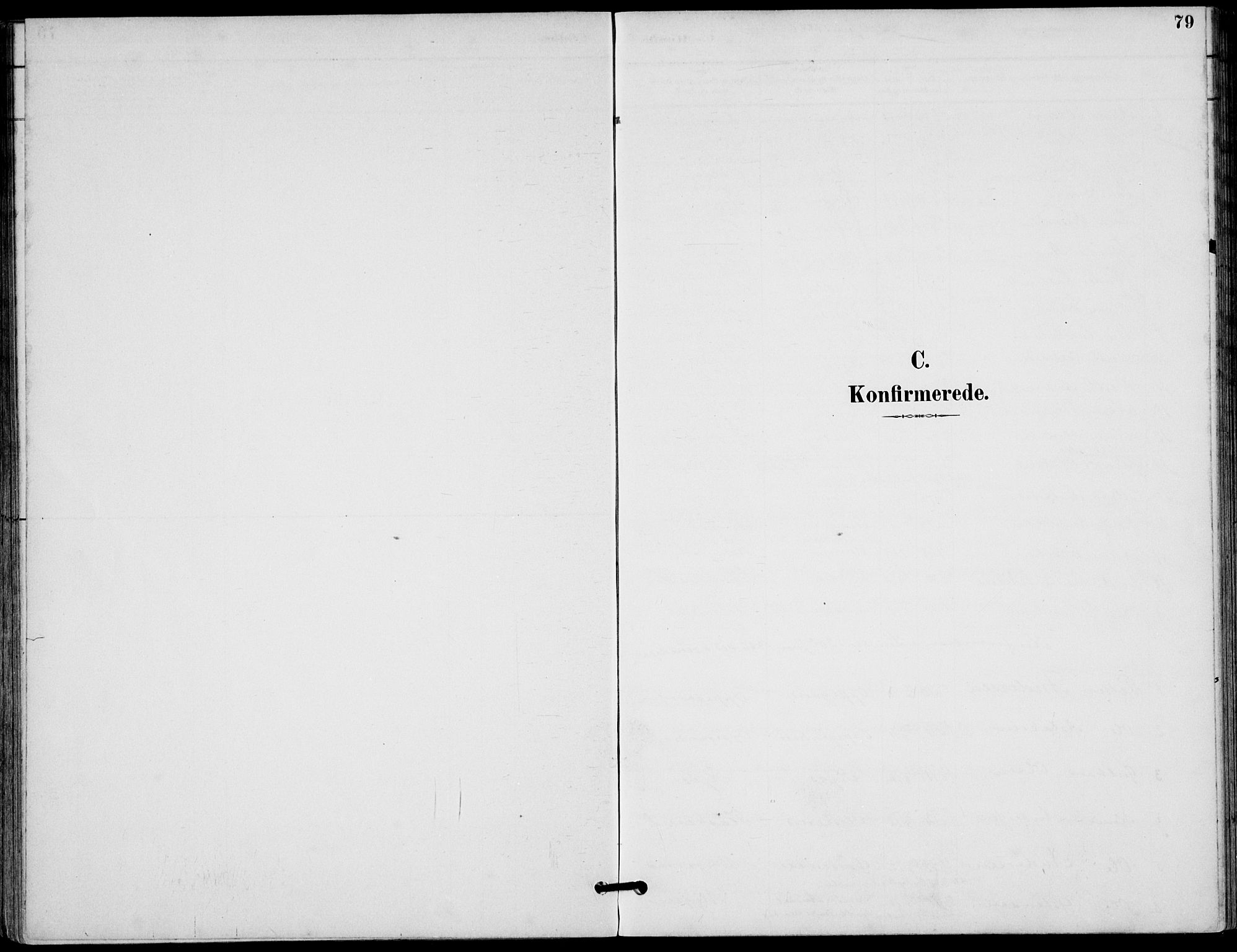 Lunder kirkebøker, SAKO/A-629/F/Fa/L0001: Parish register (official) no. I 1, 1885-1912, p. 79