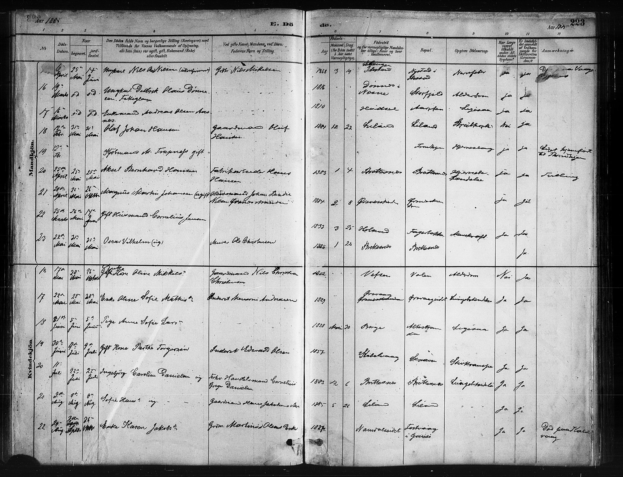 Ministerialprotokoller, klokkerbøker og fødselsregistre - Nordland, AV/SAT-A-1459/874/L1059: Parish register (official) no. 874A03, 1884-1890, p. 223