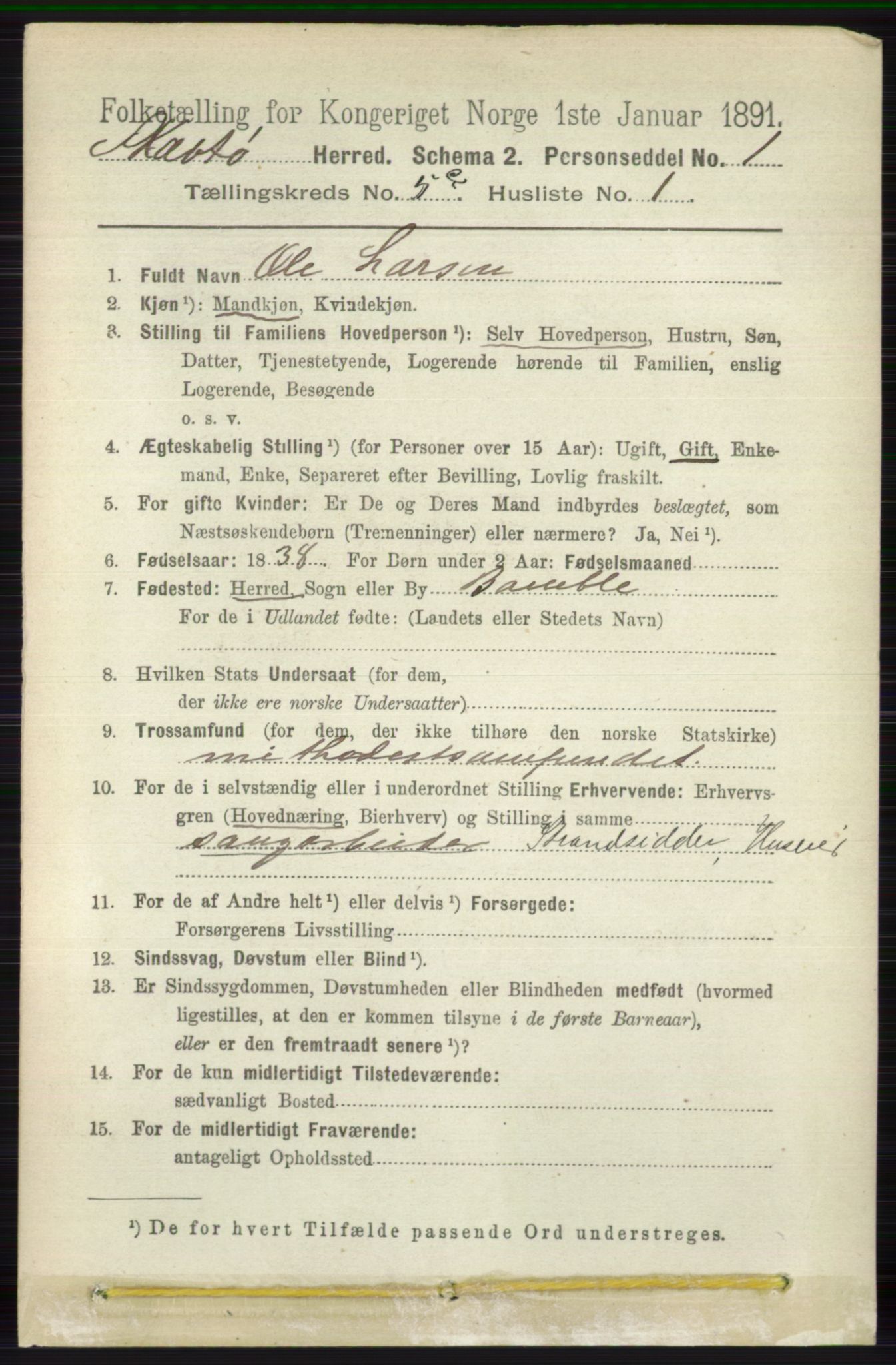 RA, 1891 census for 0815 Skåtøy, 1891, p. 2674